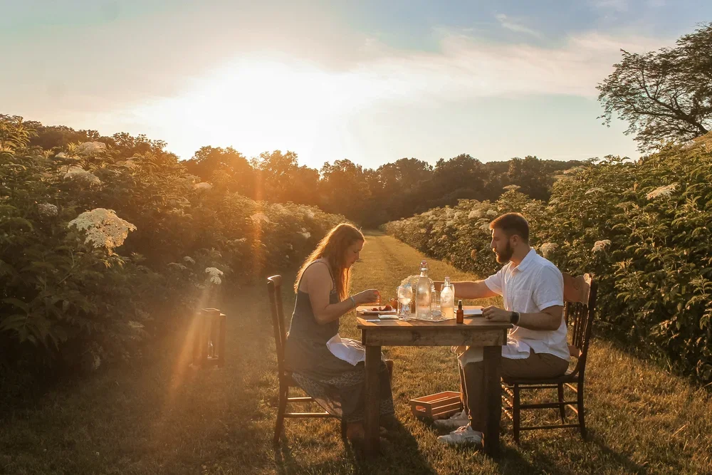 A couple having a picnic at a rustic table in an elderberry field during sunset, surrounded by blooming bushes.