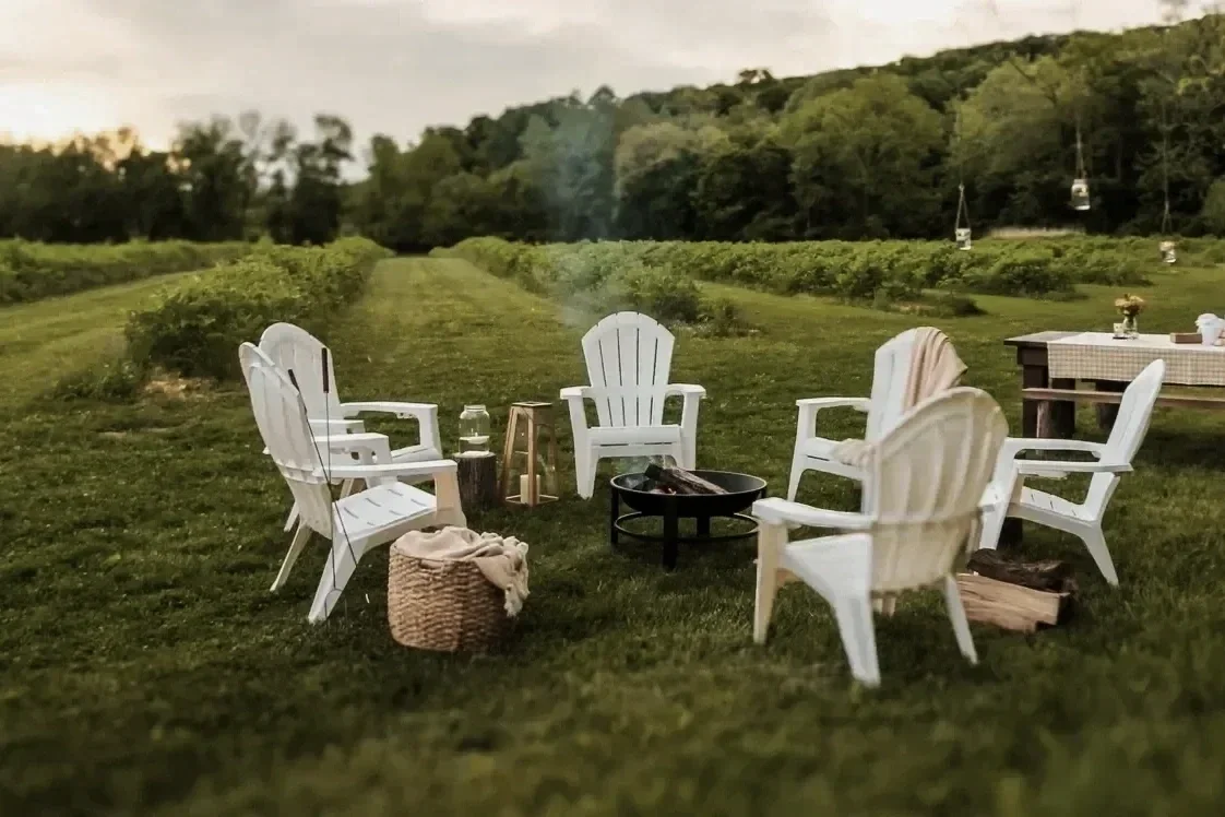 Firepit site next to elderberry field