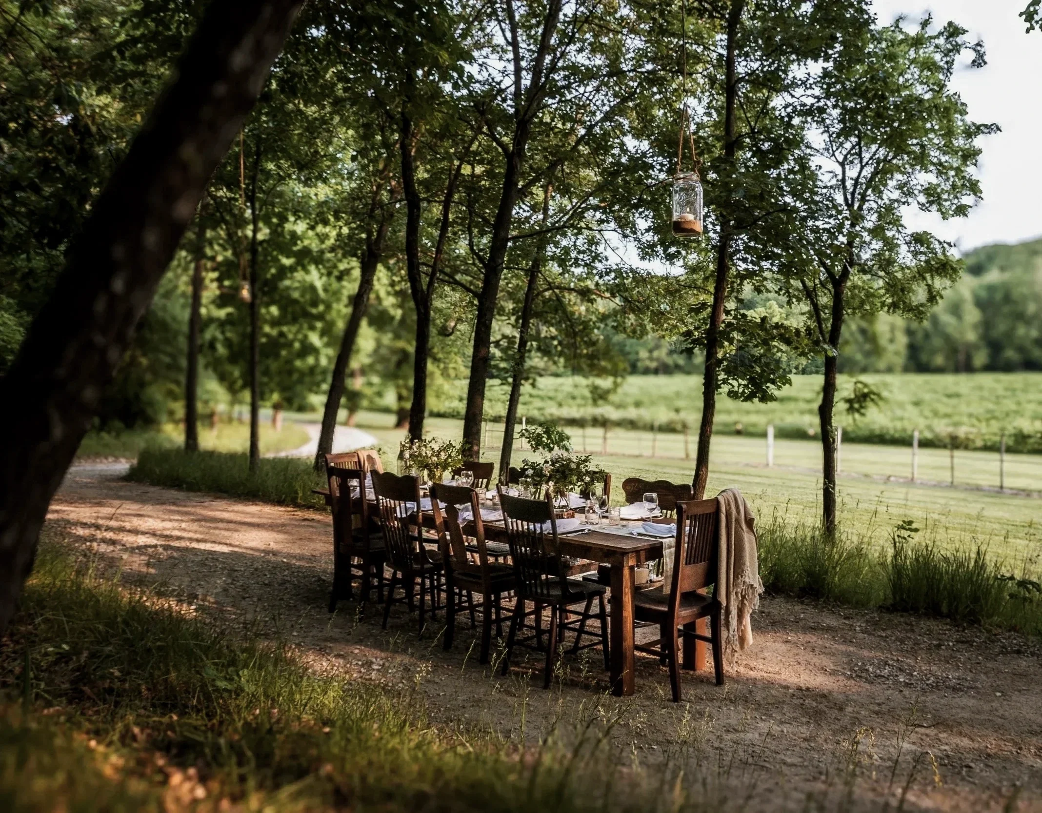 Harvest table setting overlooking elderberry field