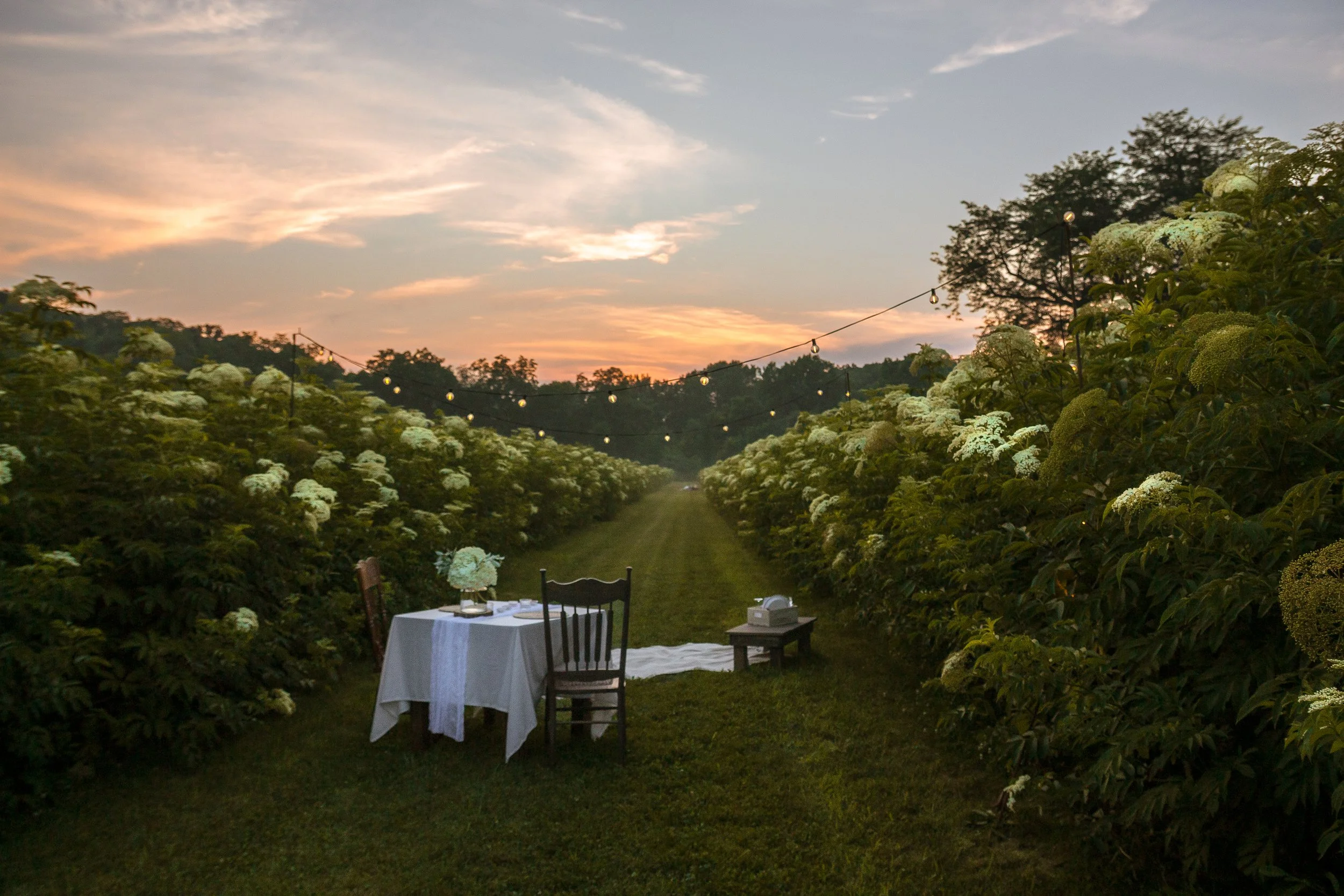 THE SOULMATES | Table + Blanket for 2