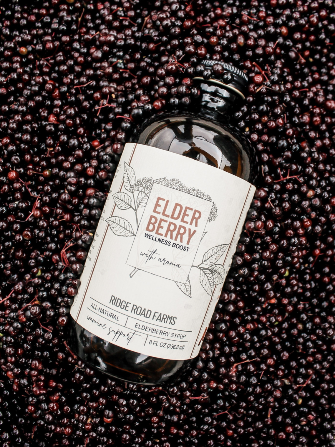 Bottle of elderberry syrup in fresh elderberries