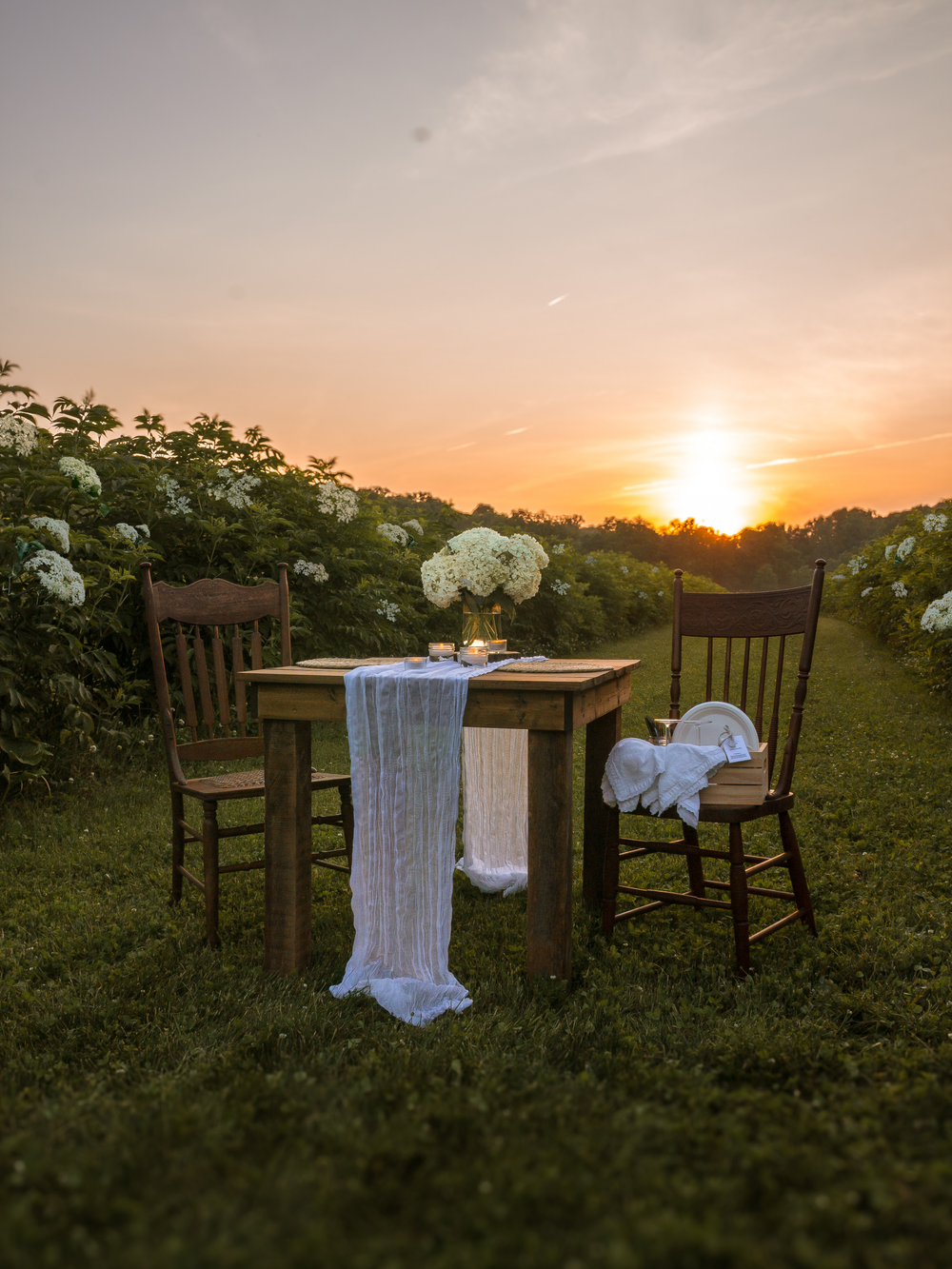 Romantic table setting in elderflower field