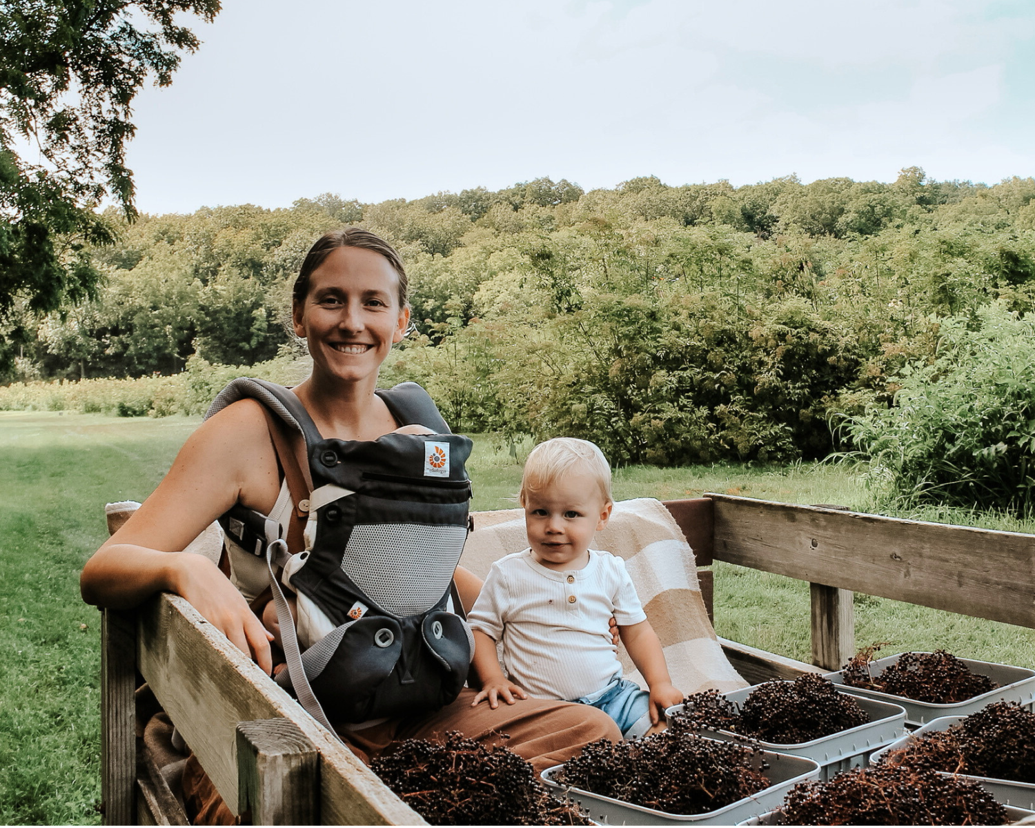 Elderberry harvest day with family