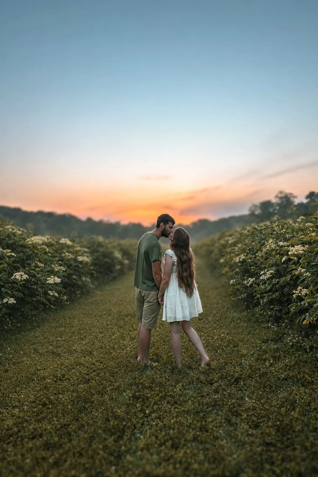 Elderflower Field Photo Backdrop