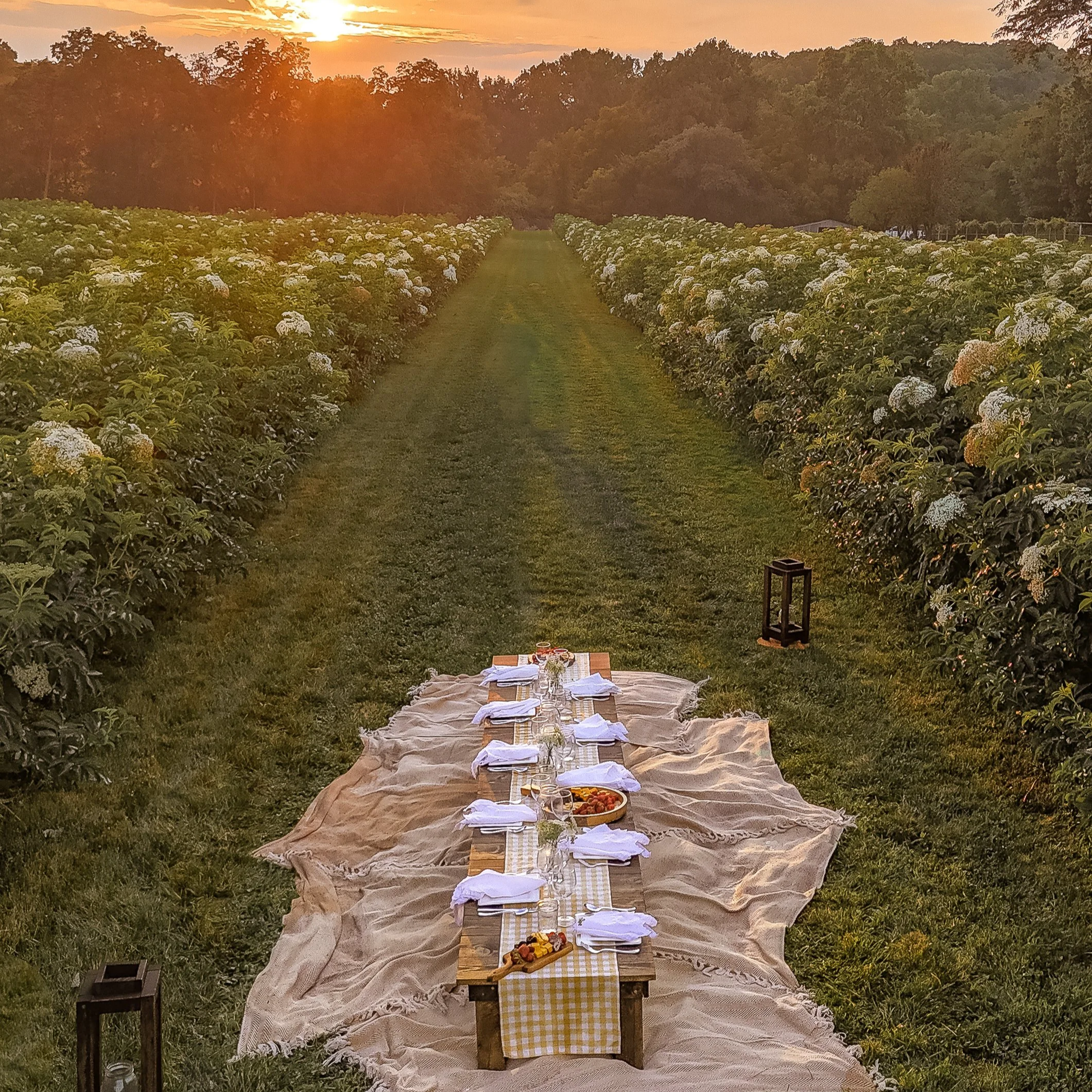 THE CREW | Blanket Site for 4-16