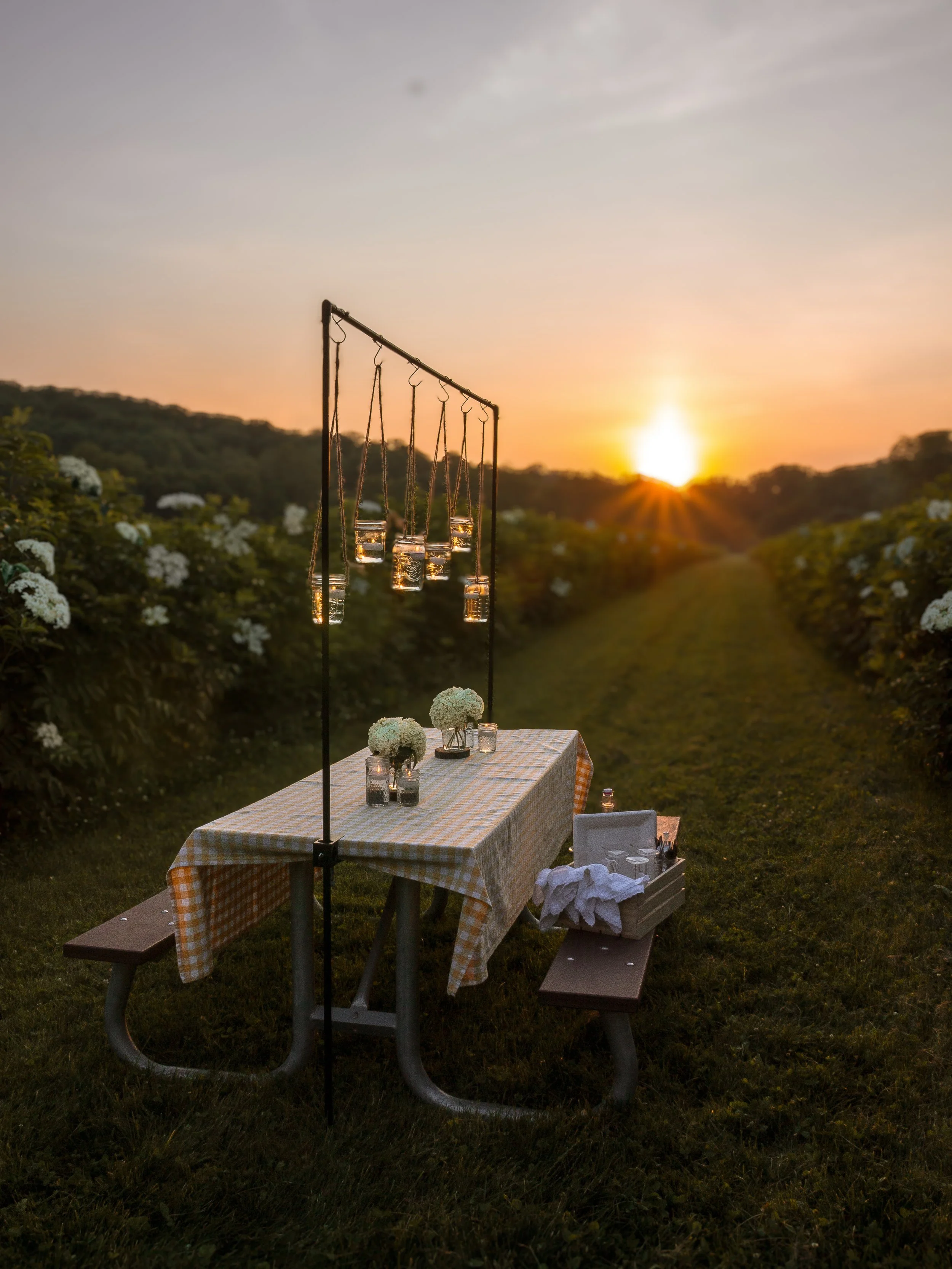 THE FAM | Picnic table for 6