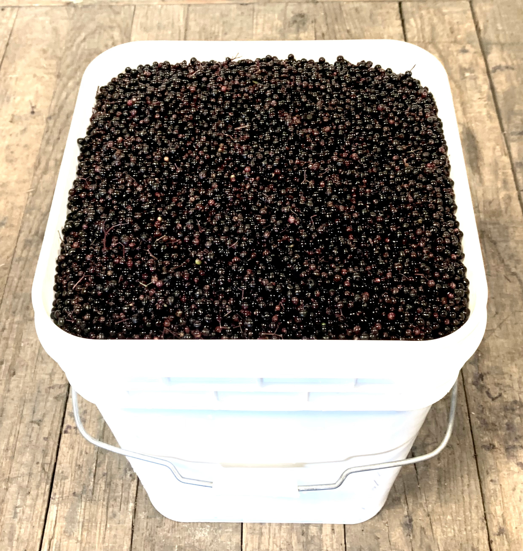Fresh frozen American elderberries
