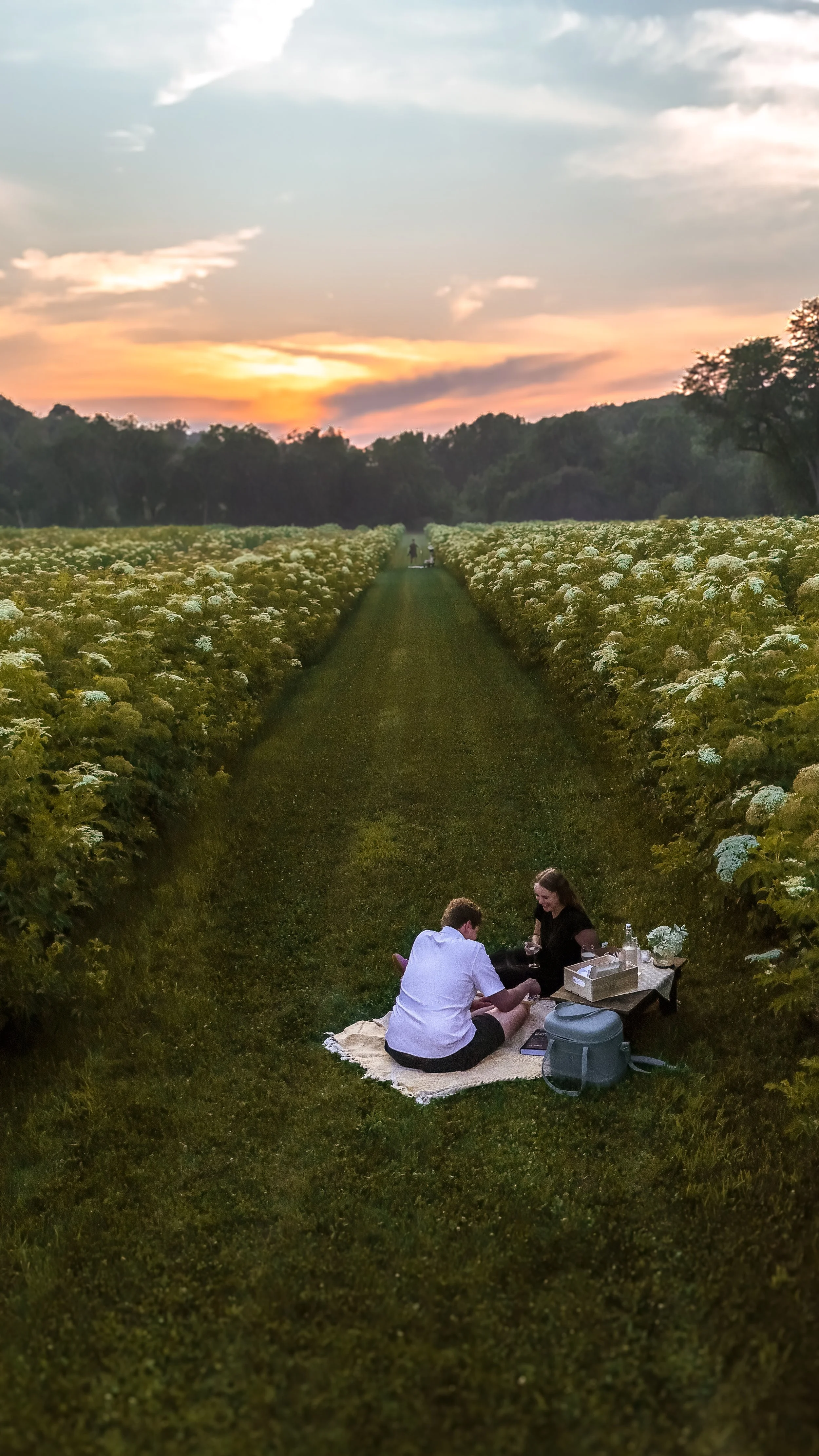 DJI_20250712201923_0053_D-3.jpg