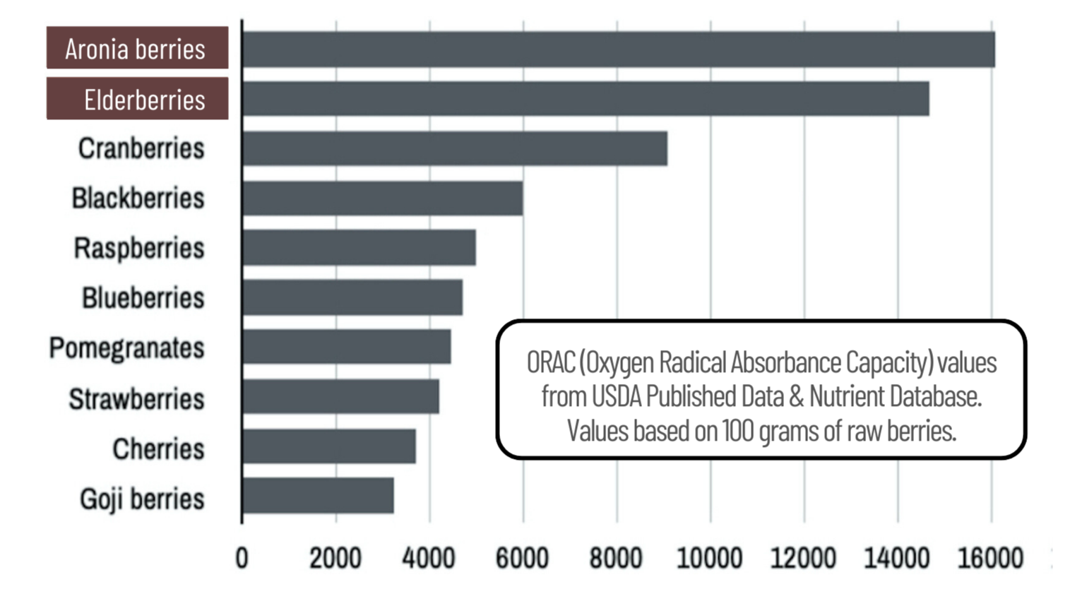 Elderberry and aronia berry highest in antioxidants