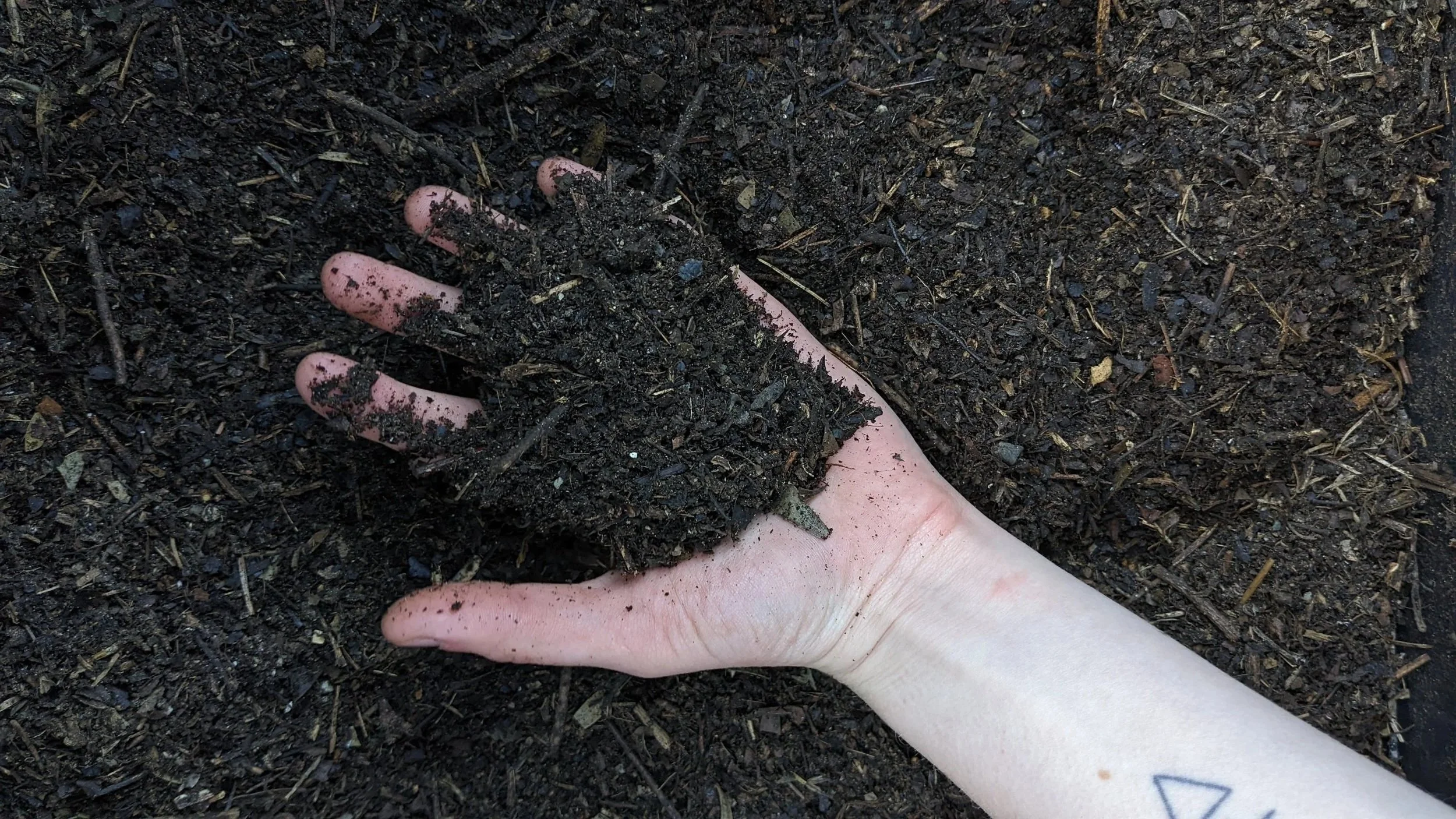 A person with a small tattoo on their wrist holding dark soil with both hands, with more soil spread out on the ground. The soil appears rich and moist.