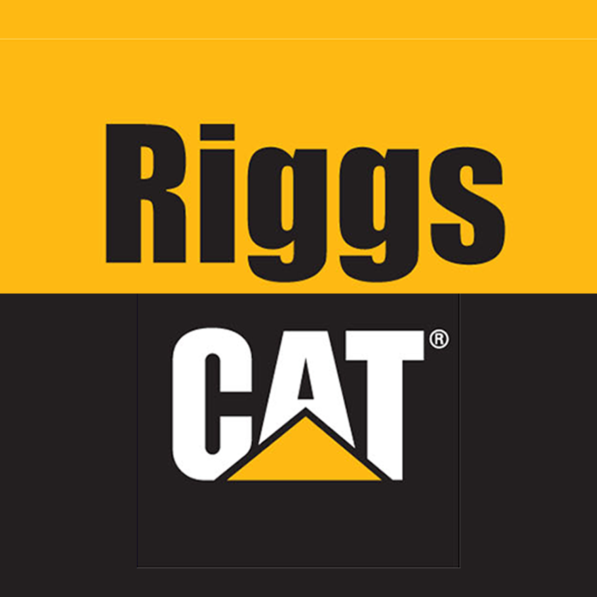Riggs Cat Young Guns Leadership Workshop 