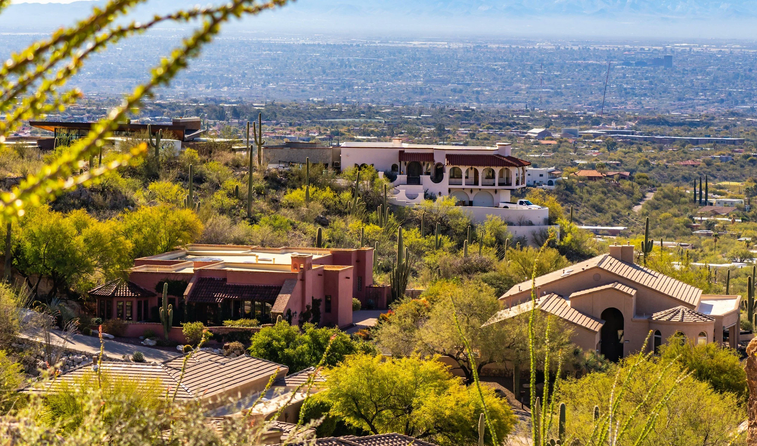 Houses on a hillside with desert landscaping, including cacti and shrubs, overlooking a cityscape in the distance under a clear blue sky.