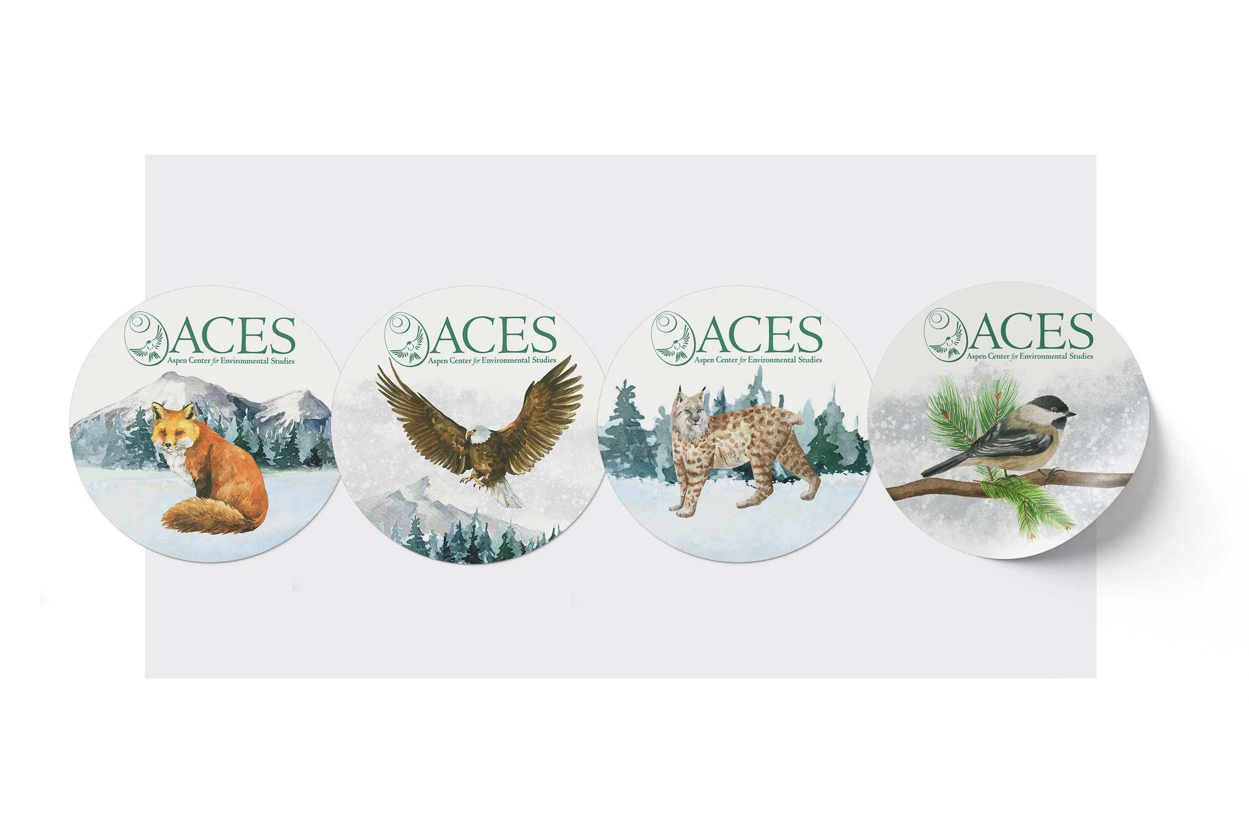 Four circular badges with the ACES logo and watercolor illustrations of wildlife: a fox in a snowy landscape, a soaring eagle, a bobcat in a forest scene, and a chickadee perched on a pine branch, all set against a snowy background.