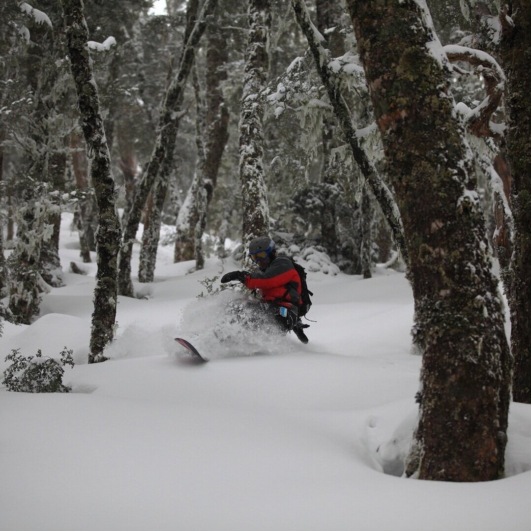 Christchurch Film Festival Fundraiser - 26 August