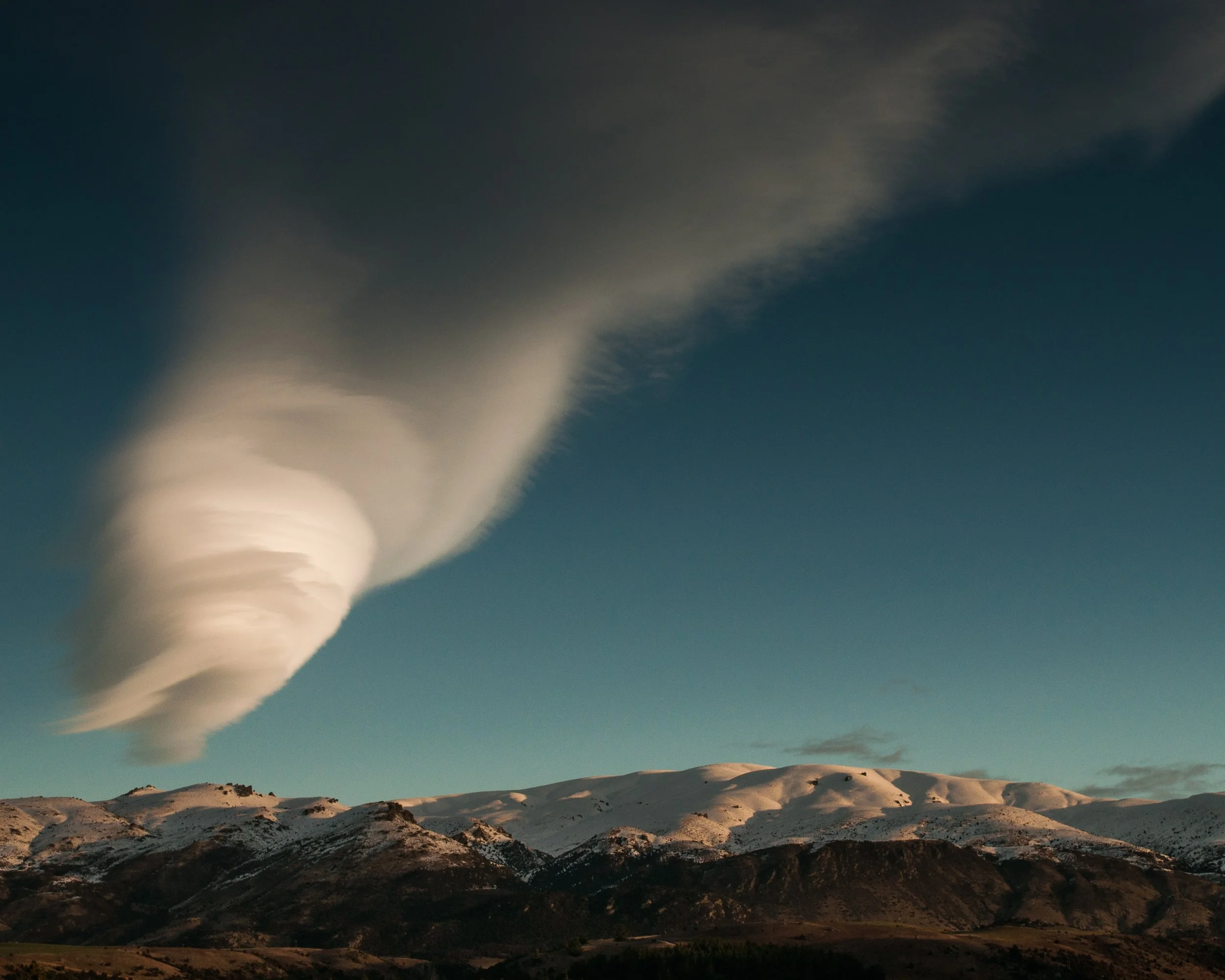 All Aboard Aotearoa Judicial Review begins today