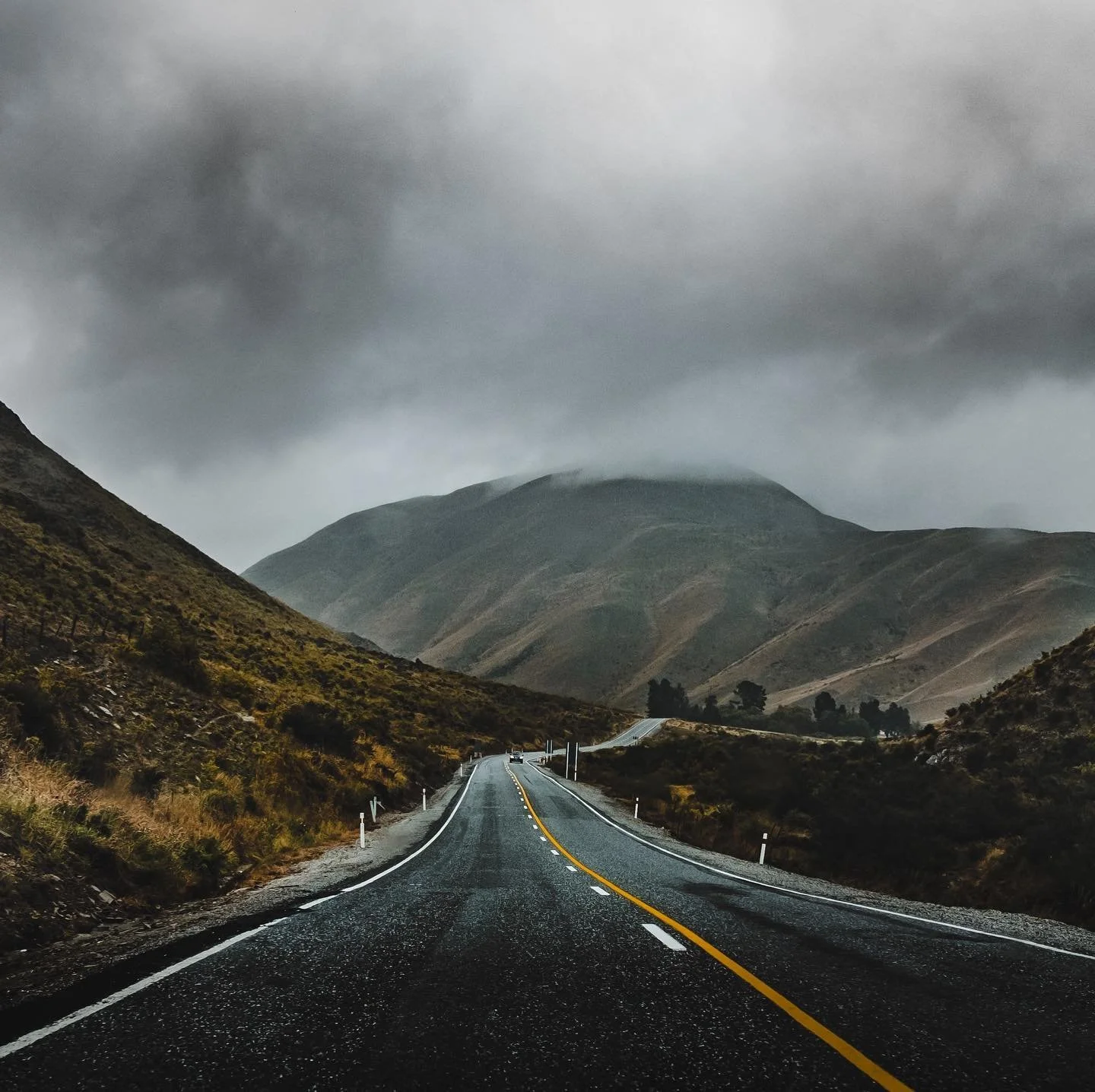 LCANZI AGM: Electrifying Aotearoa