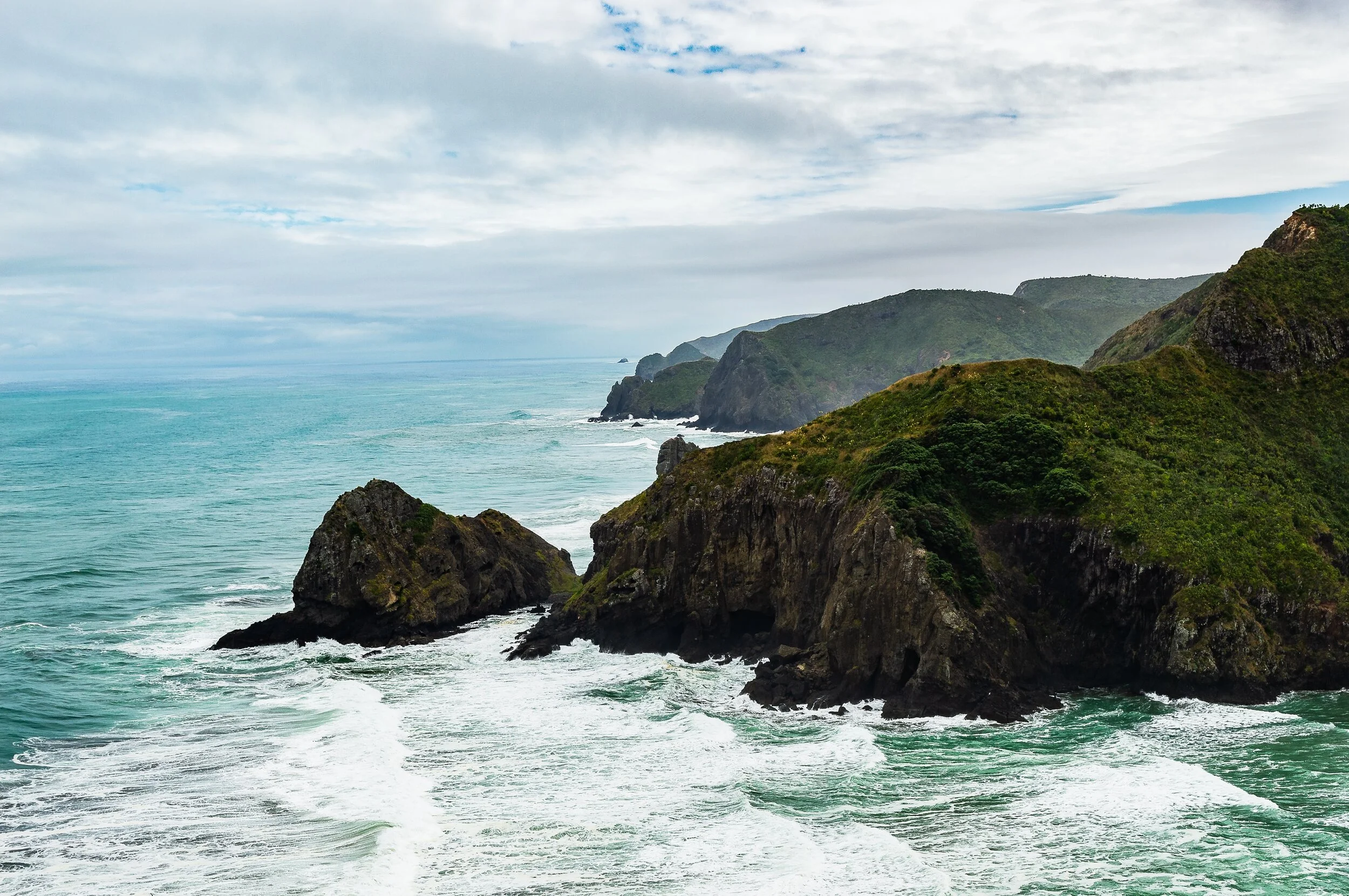 LCANZI Newsletter - May 2020