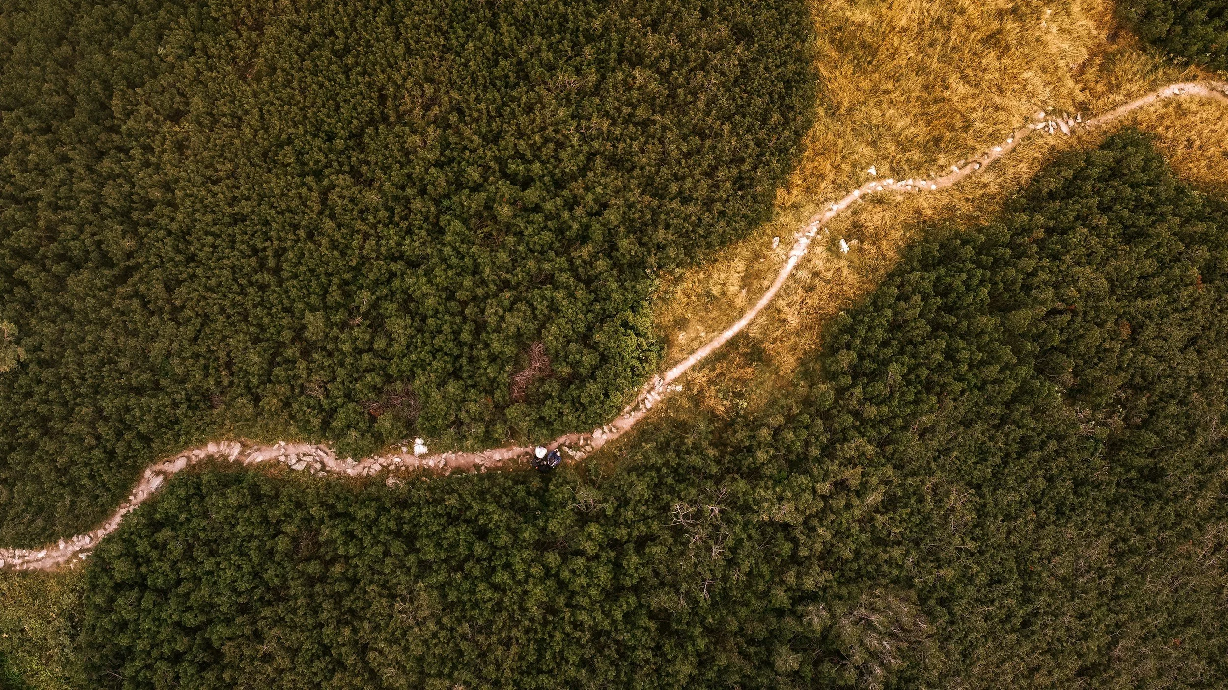 COP30: Summary and what it means for New Zealand