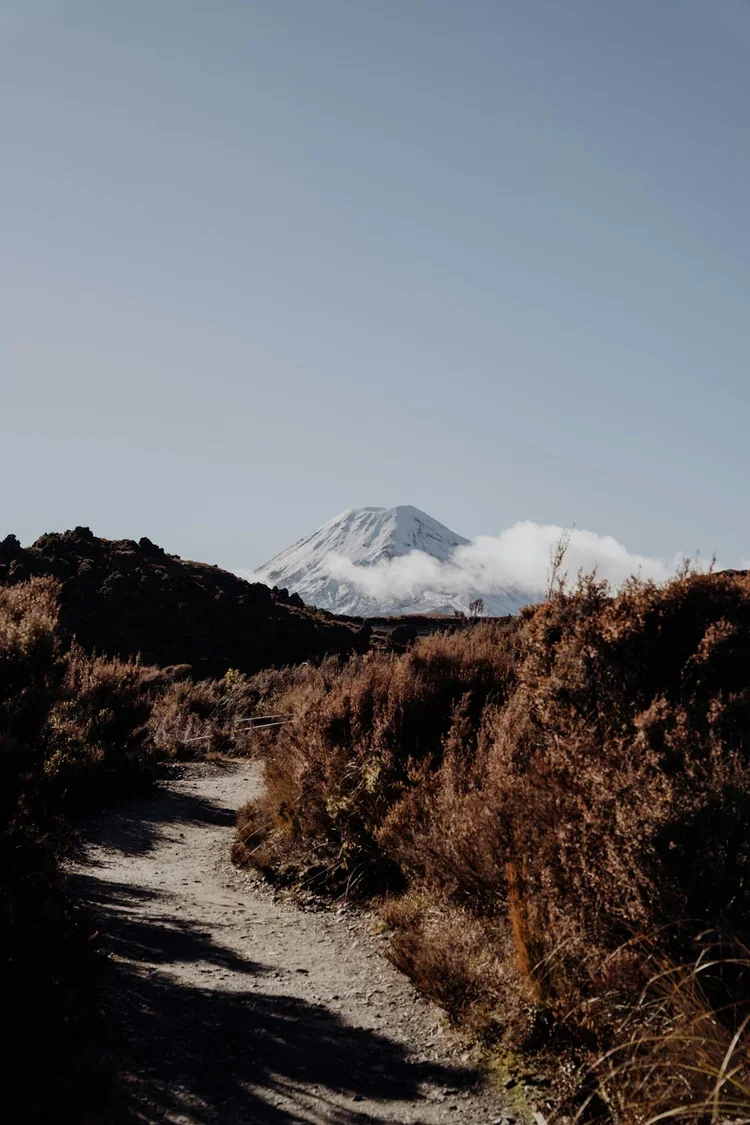 Our Response: NZ Drops in International Climate Rankings