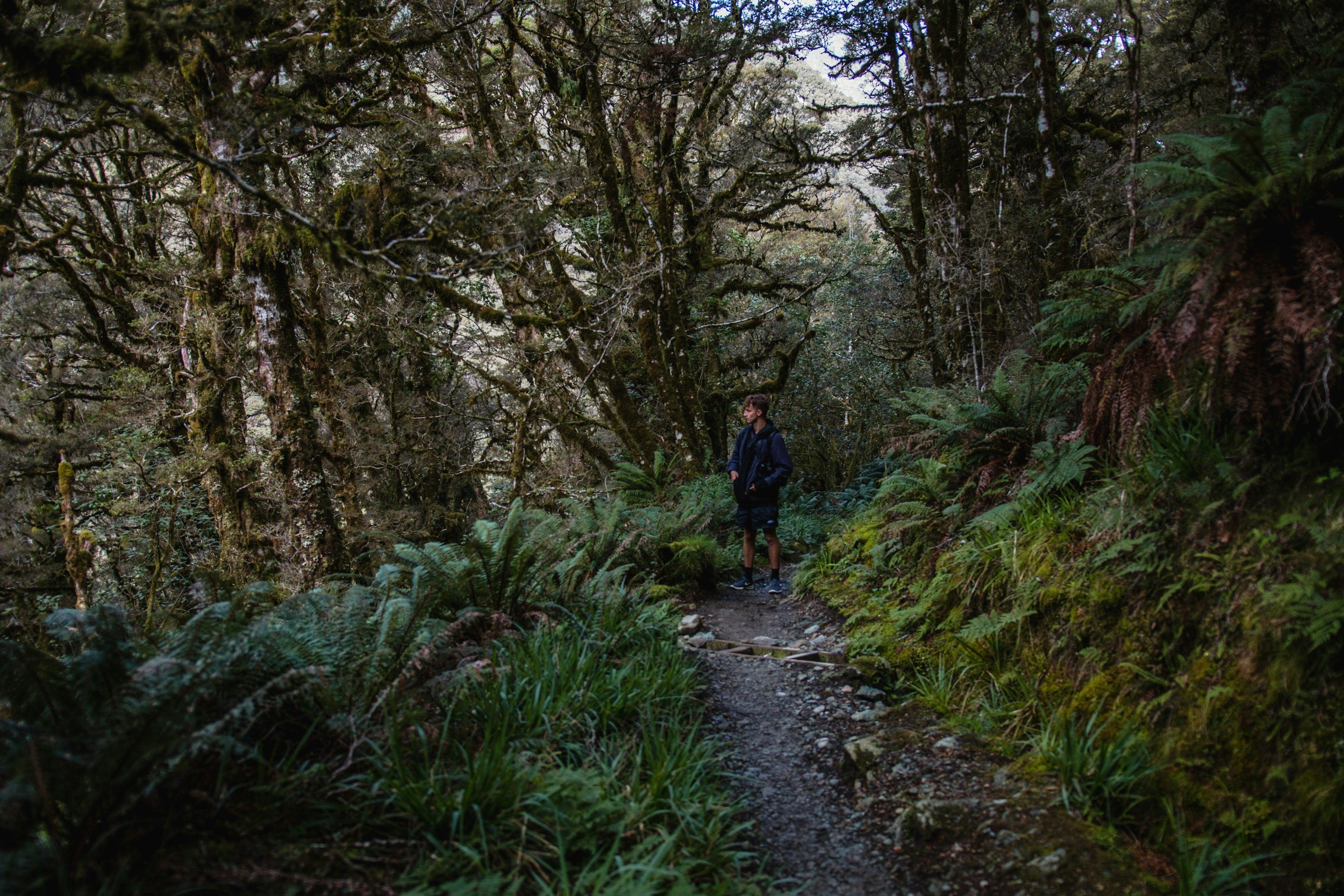 ASA Complaint against Mazda for Greenwashing