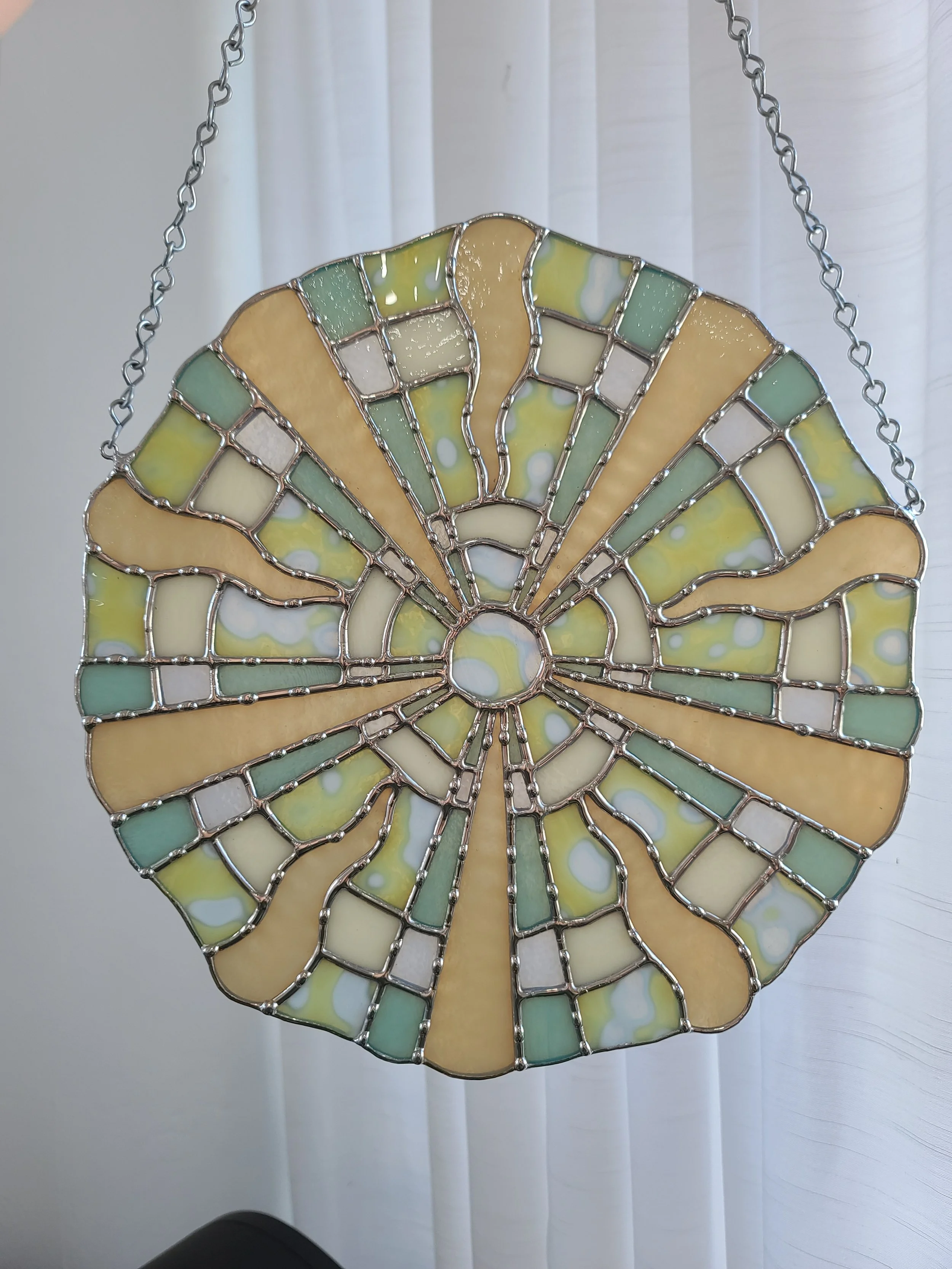 Neutral Colored Sea Urchin Study