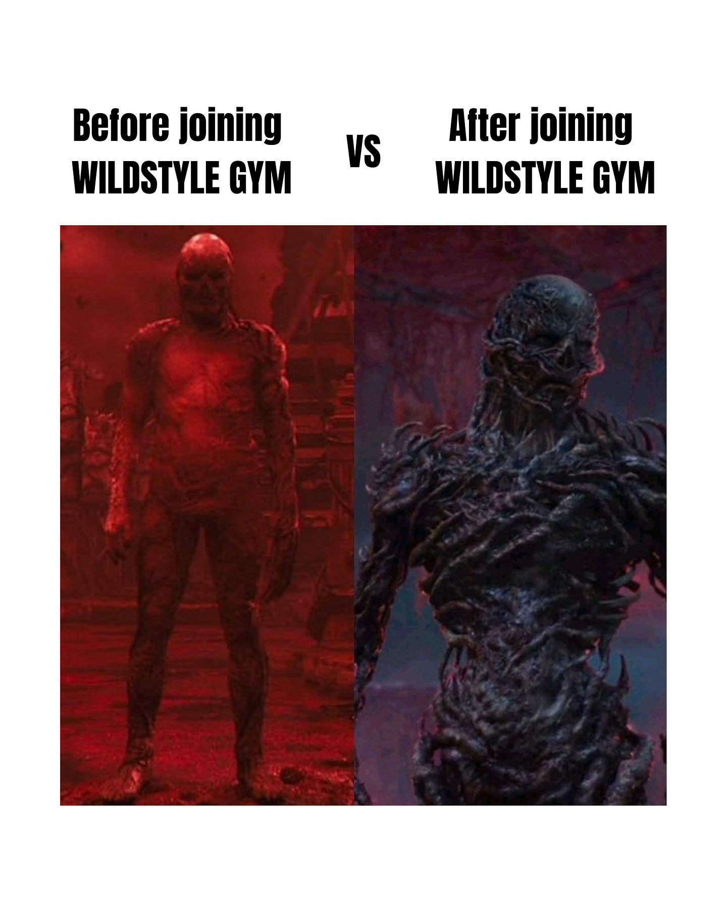 Training does things to you.

Comment ME to find out. 💪🔥

#functionalfitness #strangerthingsvibes #wildstylegym #strengthtraining #theupsidedown