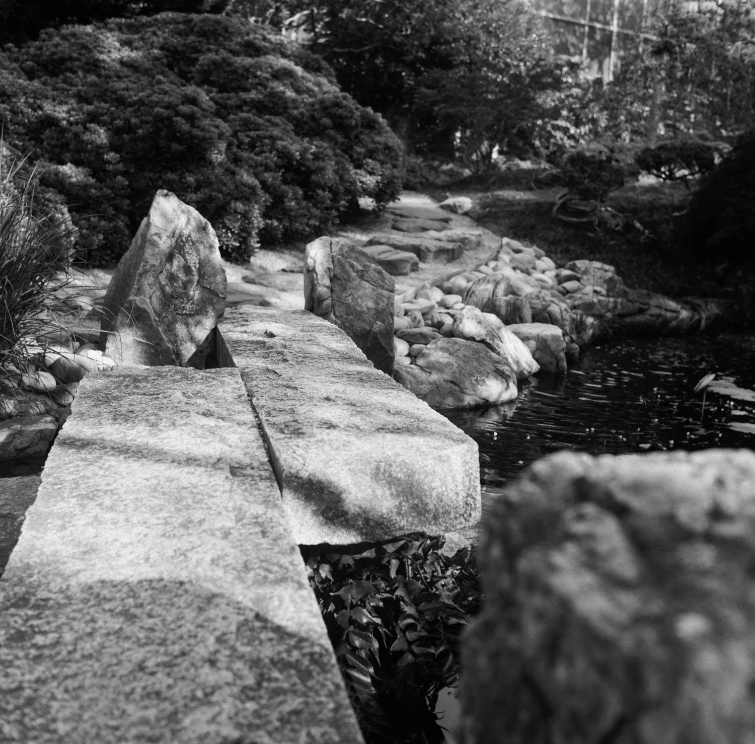 japanese_garden_path.jpg