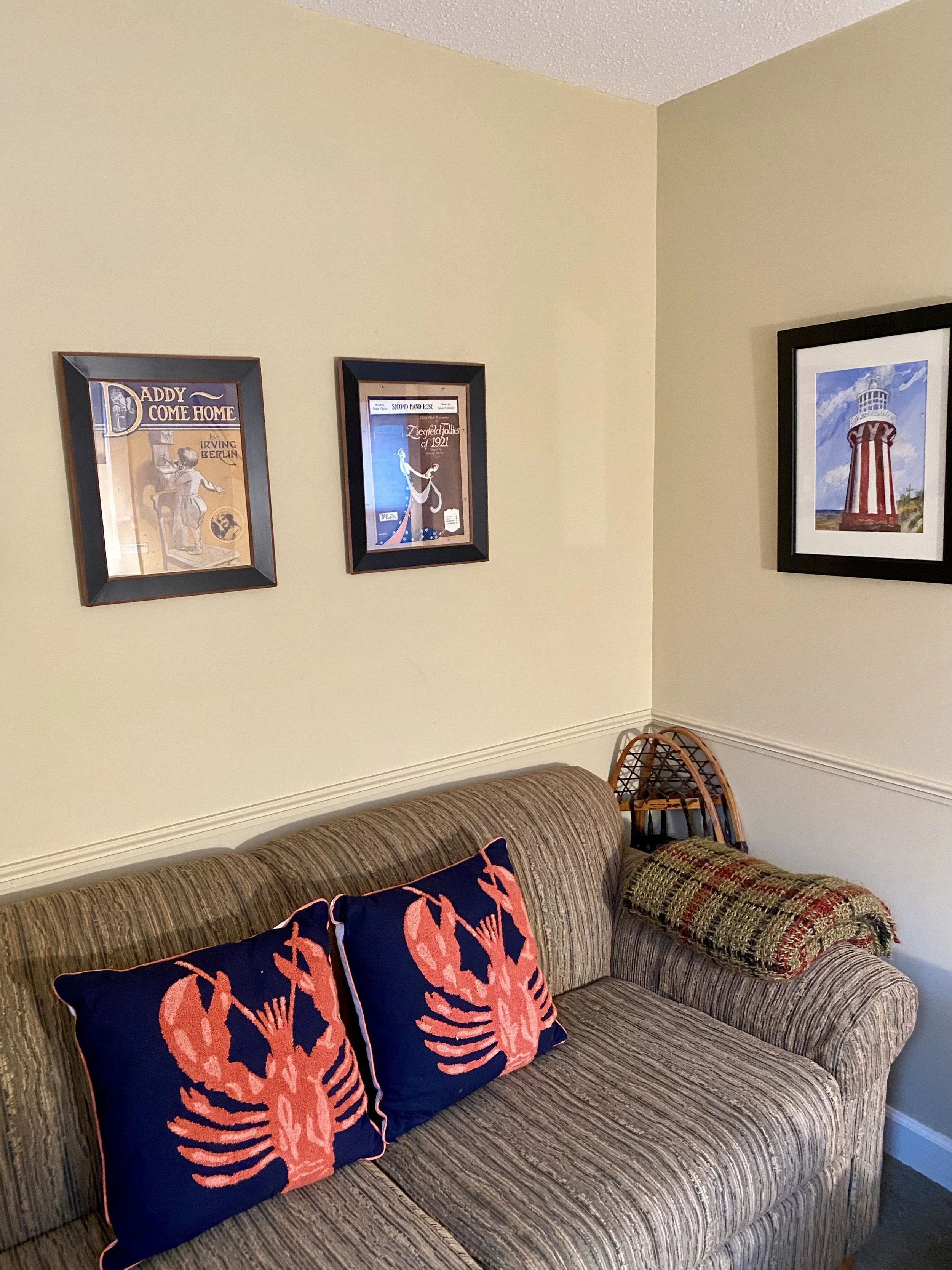 Pull out couch in Study