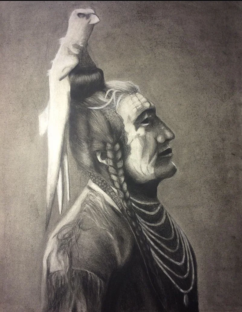 Native American with Bird 16x20