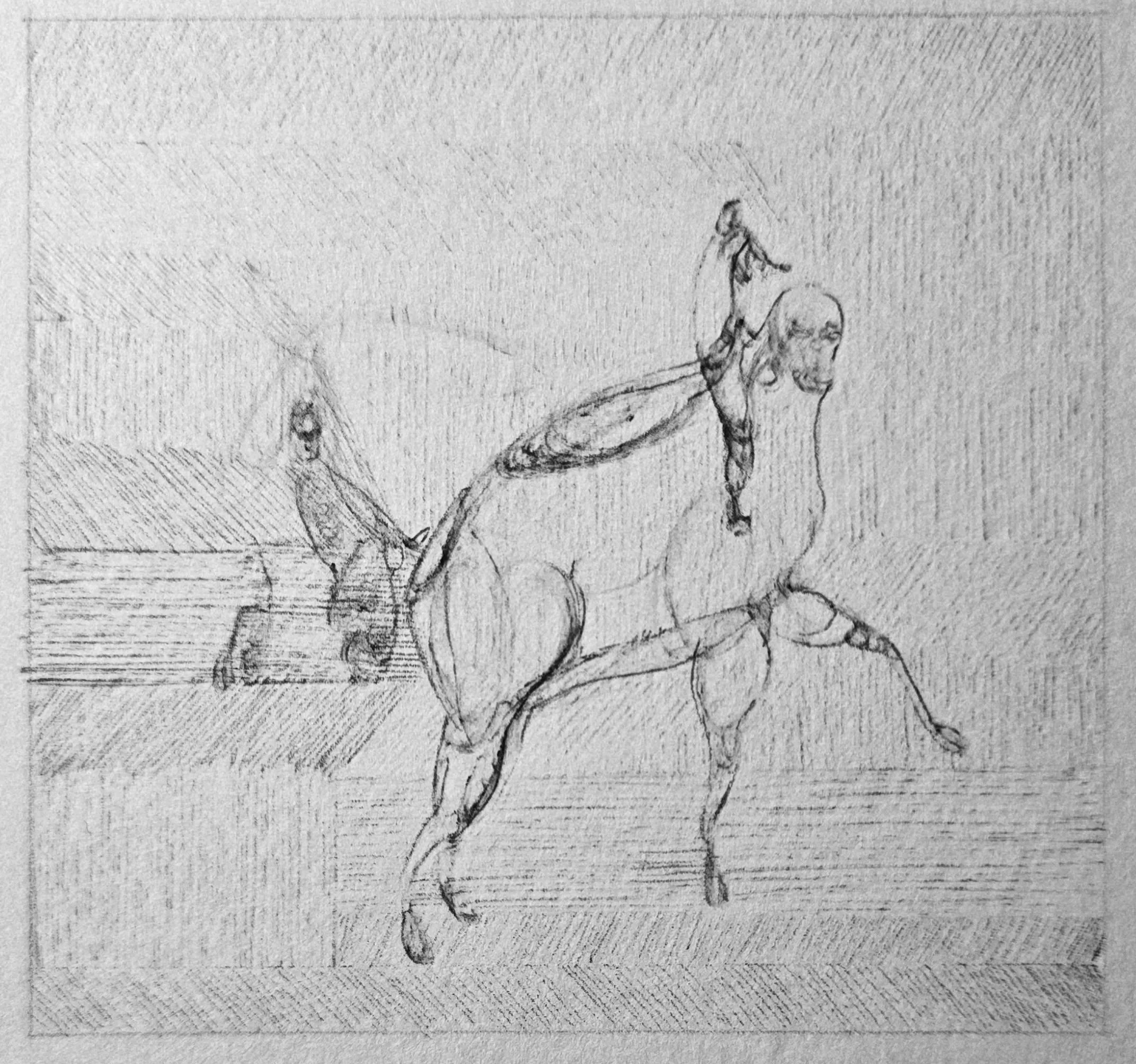 "Domesticated Rider" 2026. Ink on paper. 2 3/4" x 2 3/4"