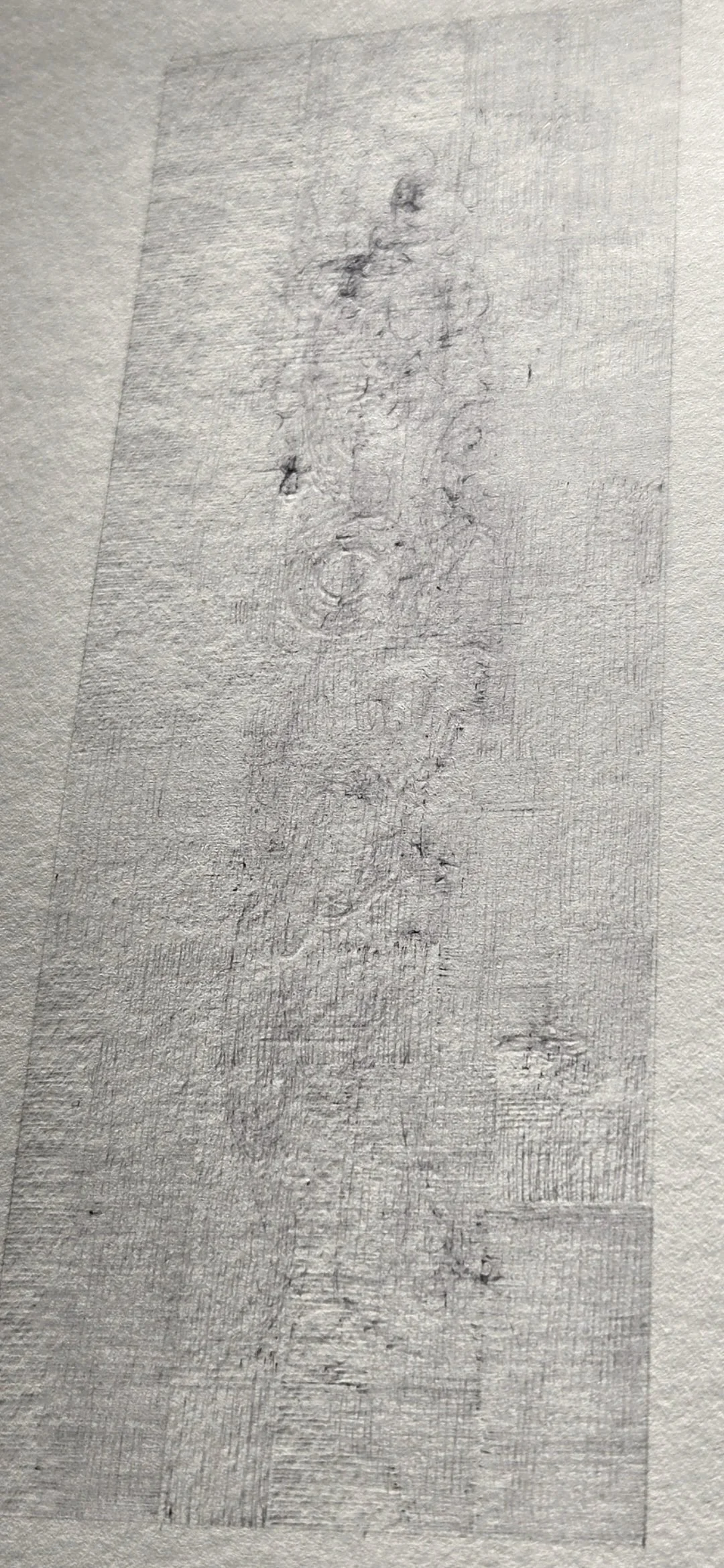 Cell #3 in raking light after erasure (early stage)