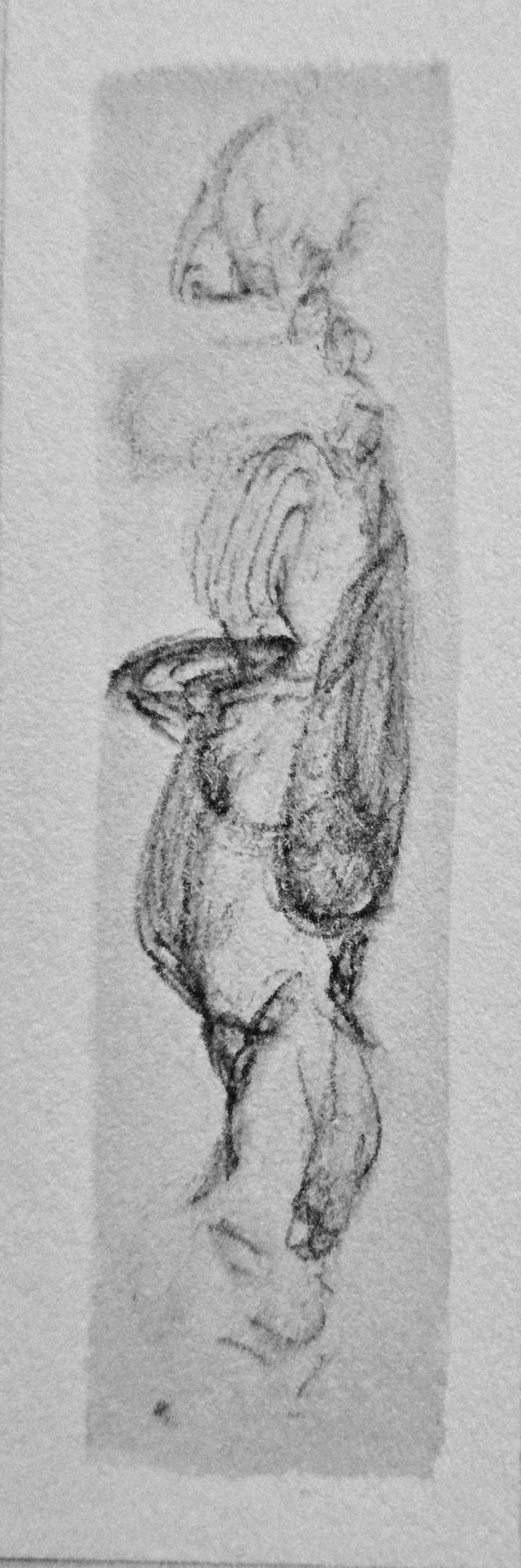 Brovelli image 1.28.26.IIjpg.jpg