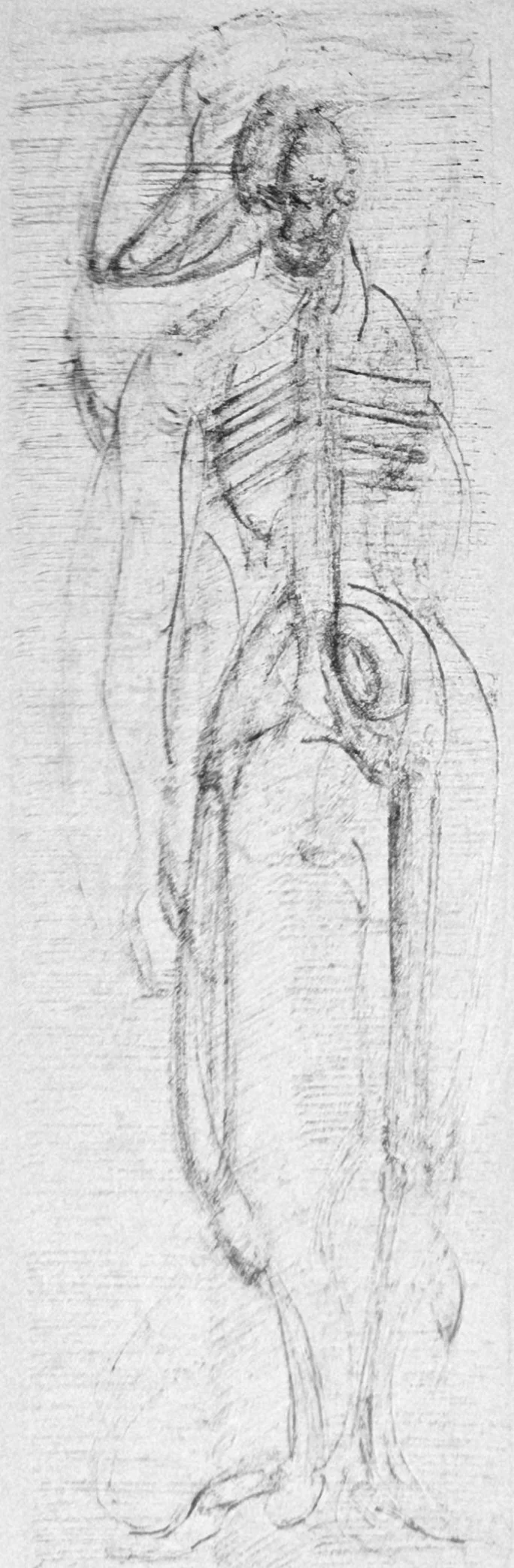 "Sulker" 2026. Ink on paper.  1 1/4" x 4"