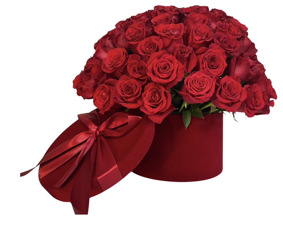 Screenshot 2026-01-08 at 3.16.55 PM.png