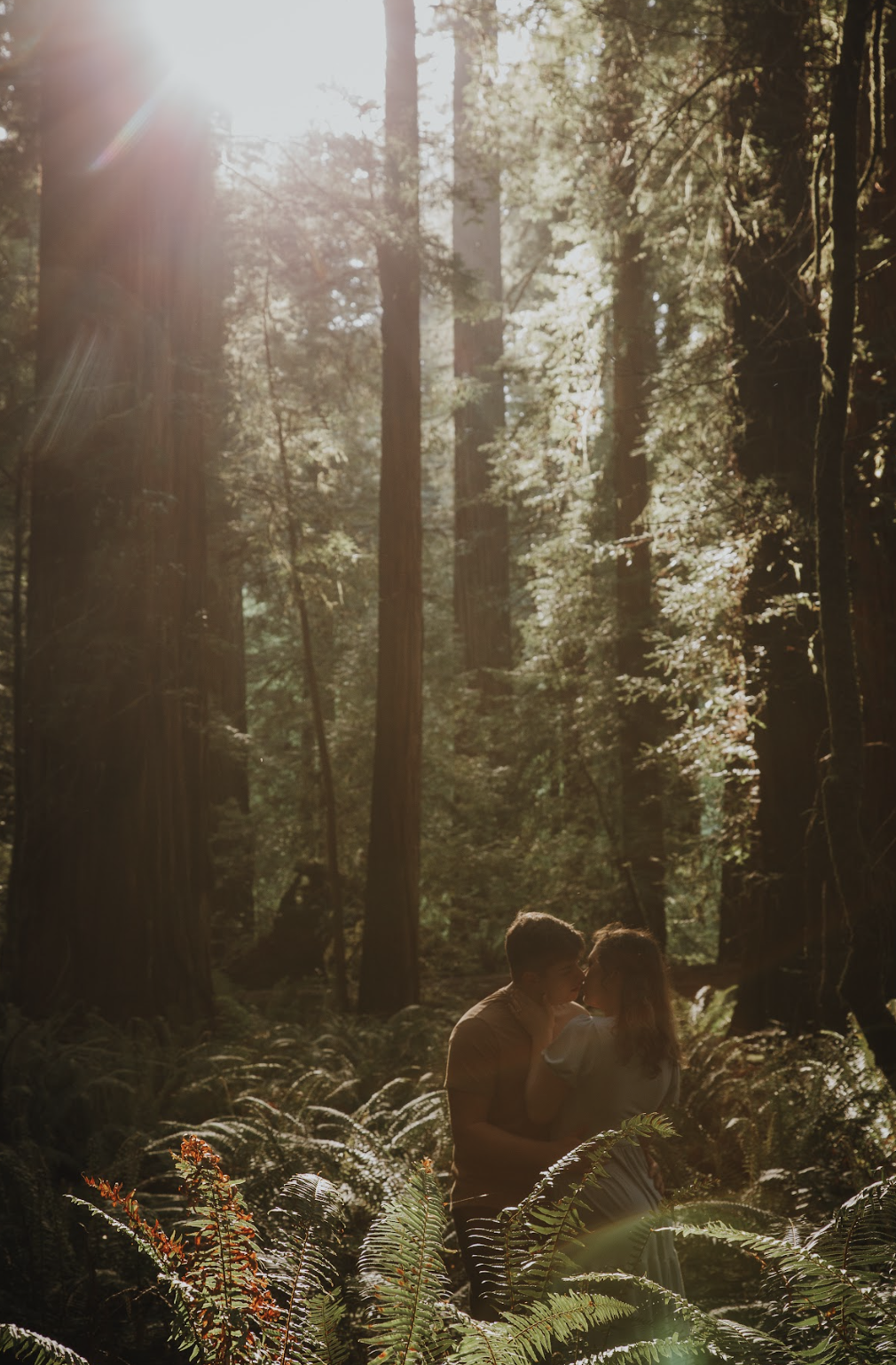 Screen Shot 2024-06-20 at 11.44.27 PM.png