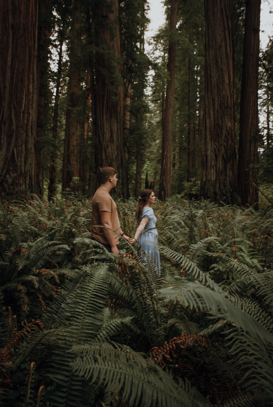 Screen Shot 2024-06-20 at 11.42.51 PM.png