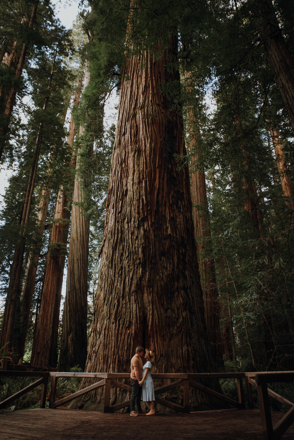 Screen Shot 2024-06-20 at 11.43.13 PM.png