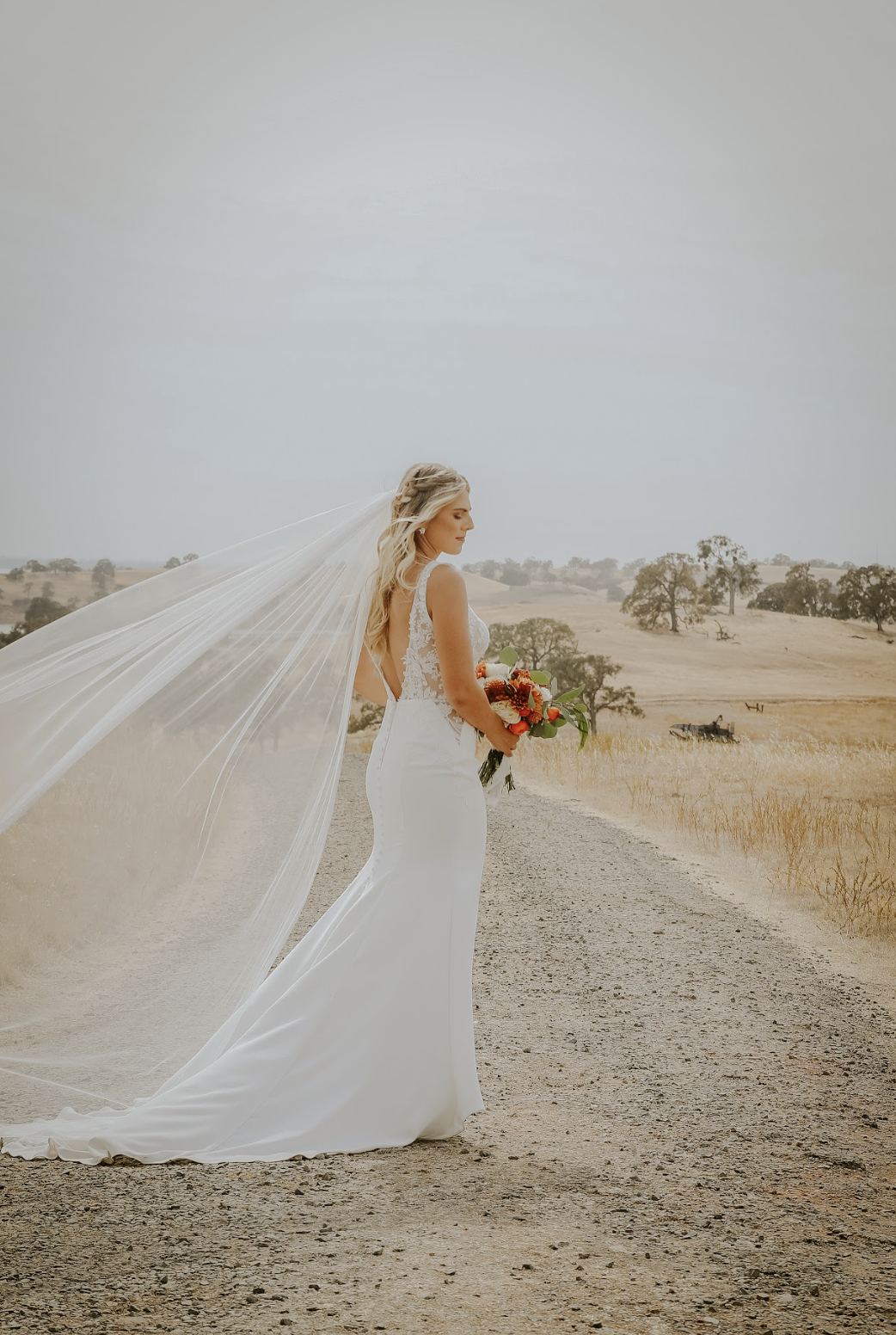 Screen Shot 2024-06-20 at 9.55.09 PM.png