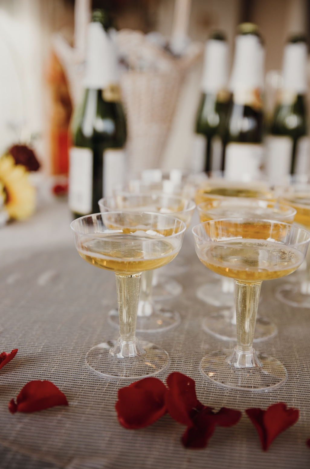 Screen Shot 2024-06-20 at 10.21.16 PM.png