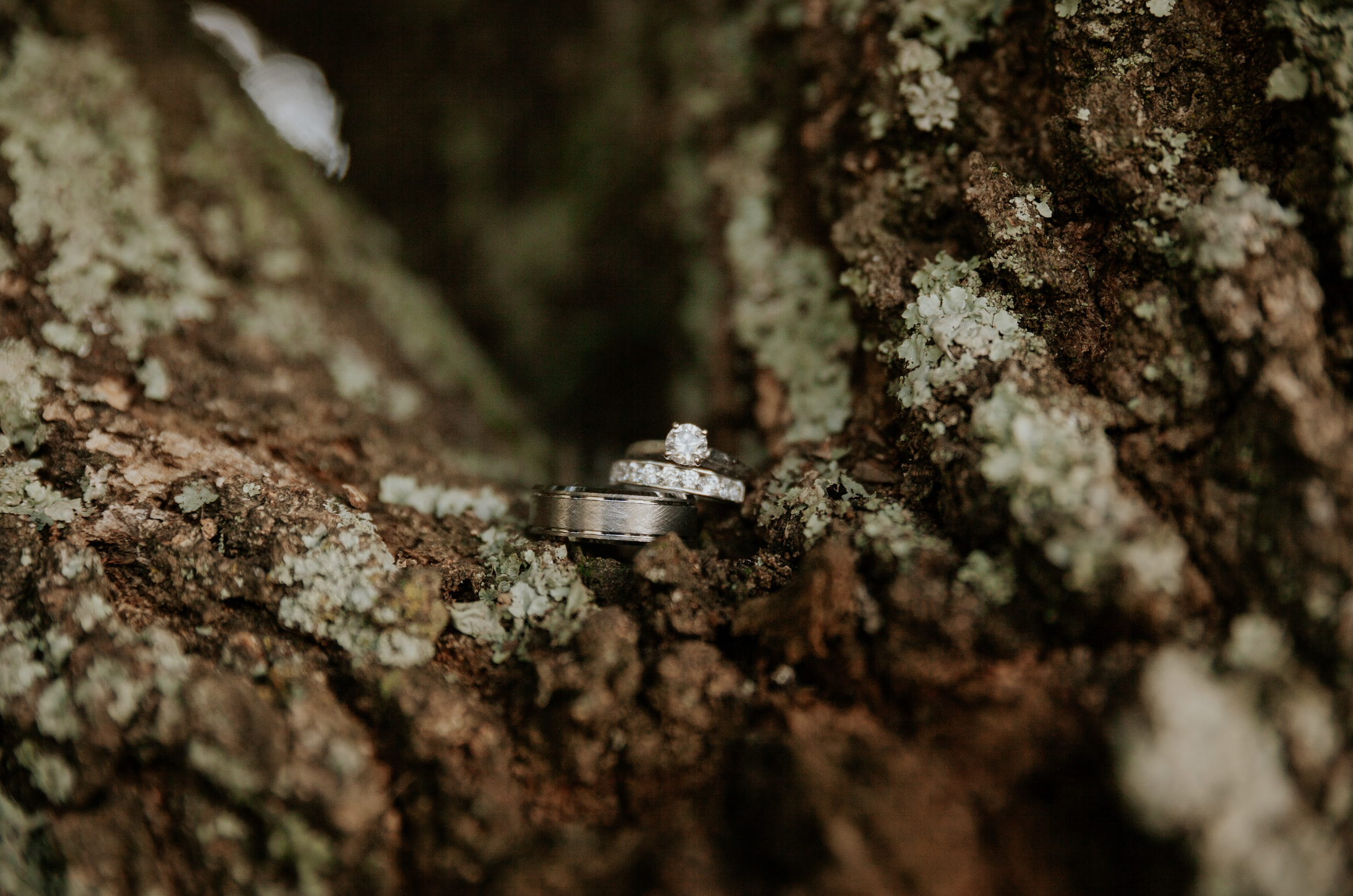 Screen Shot 2024-06-20 at 10.16.38 PM.png