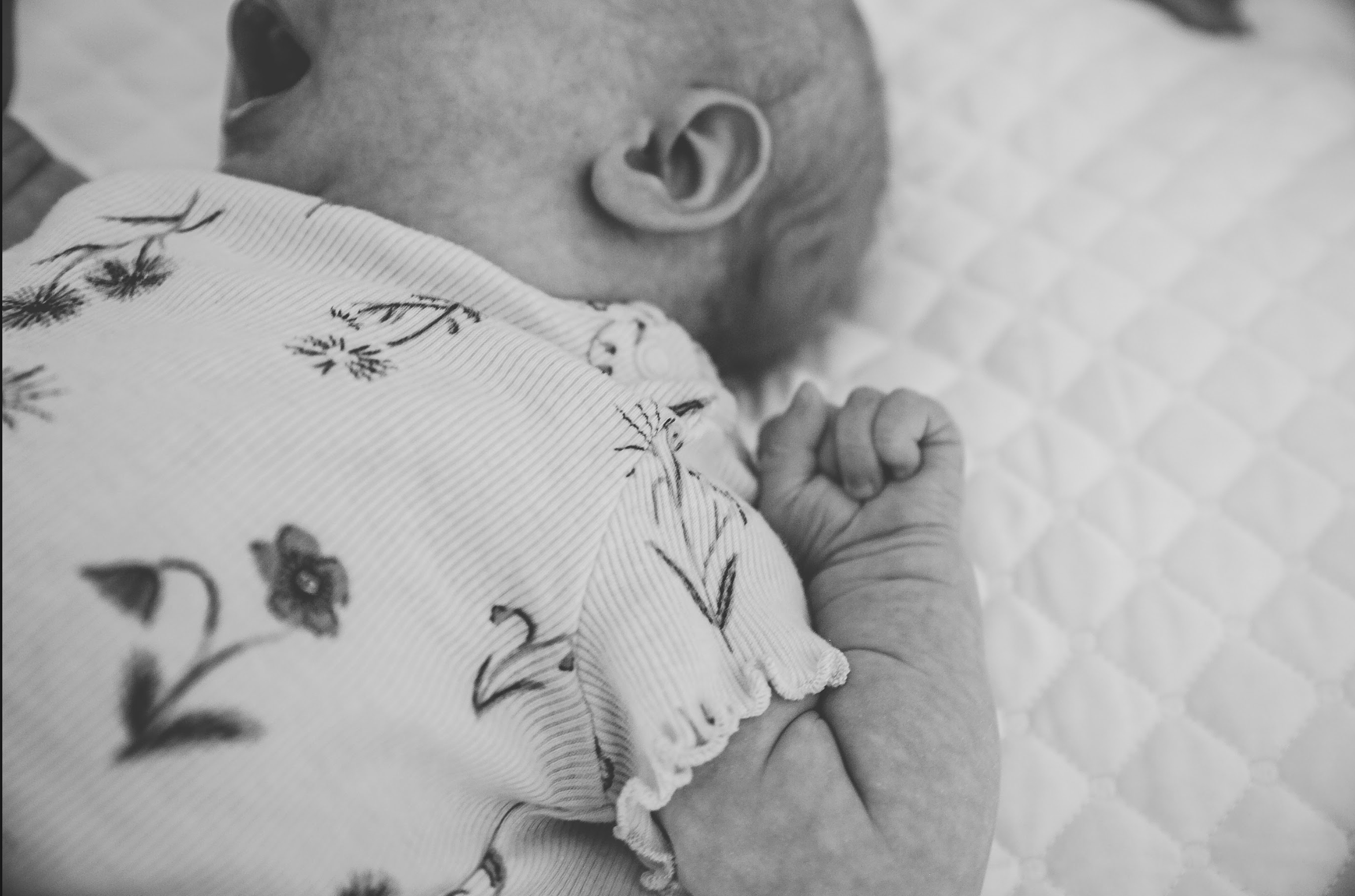 Screen Shot 2024-06-21 at 1.12.59 AM.png