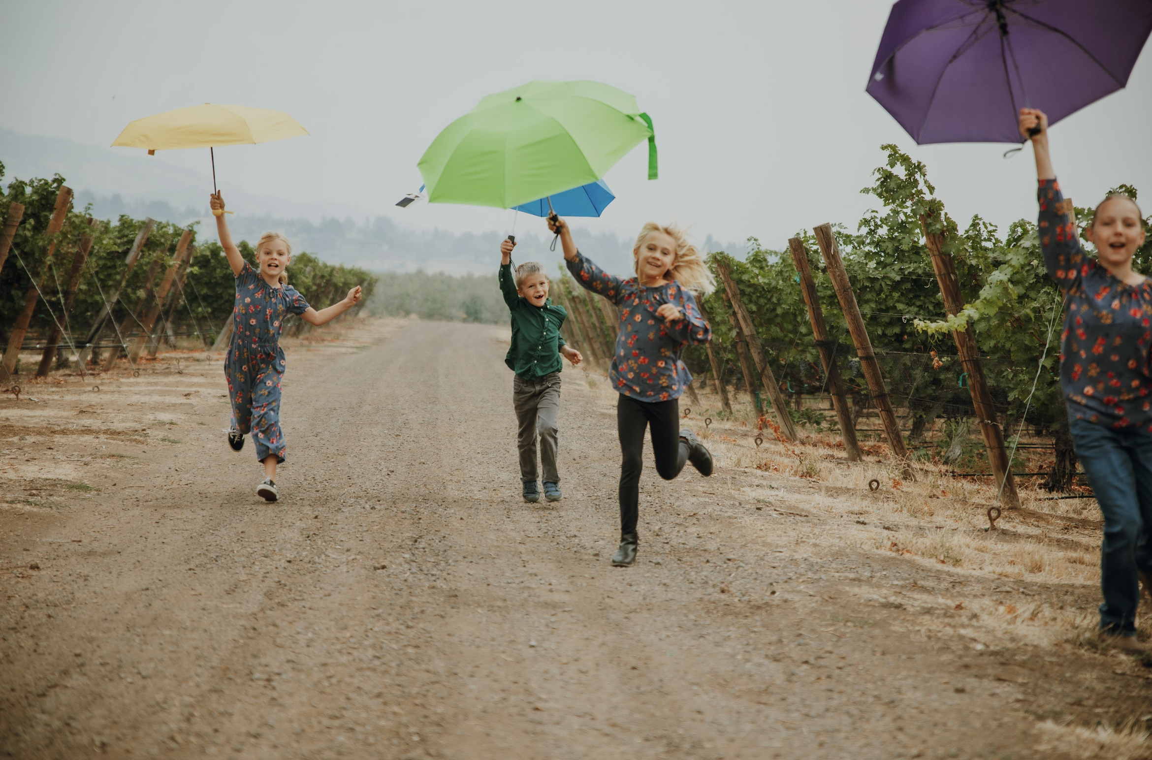 Screen Shot 2024-06-21 at 1.38.29 AM.png