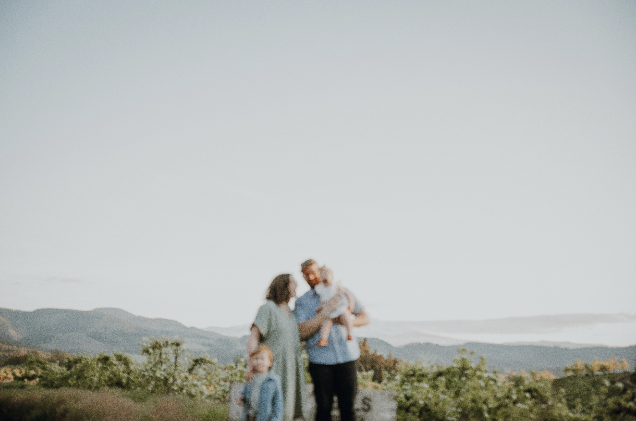 Screen Shot 2024-06-14 at 12.21.32 PM.png