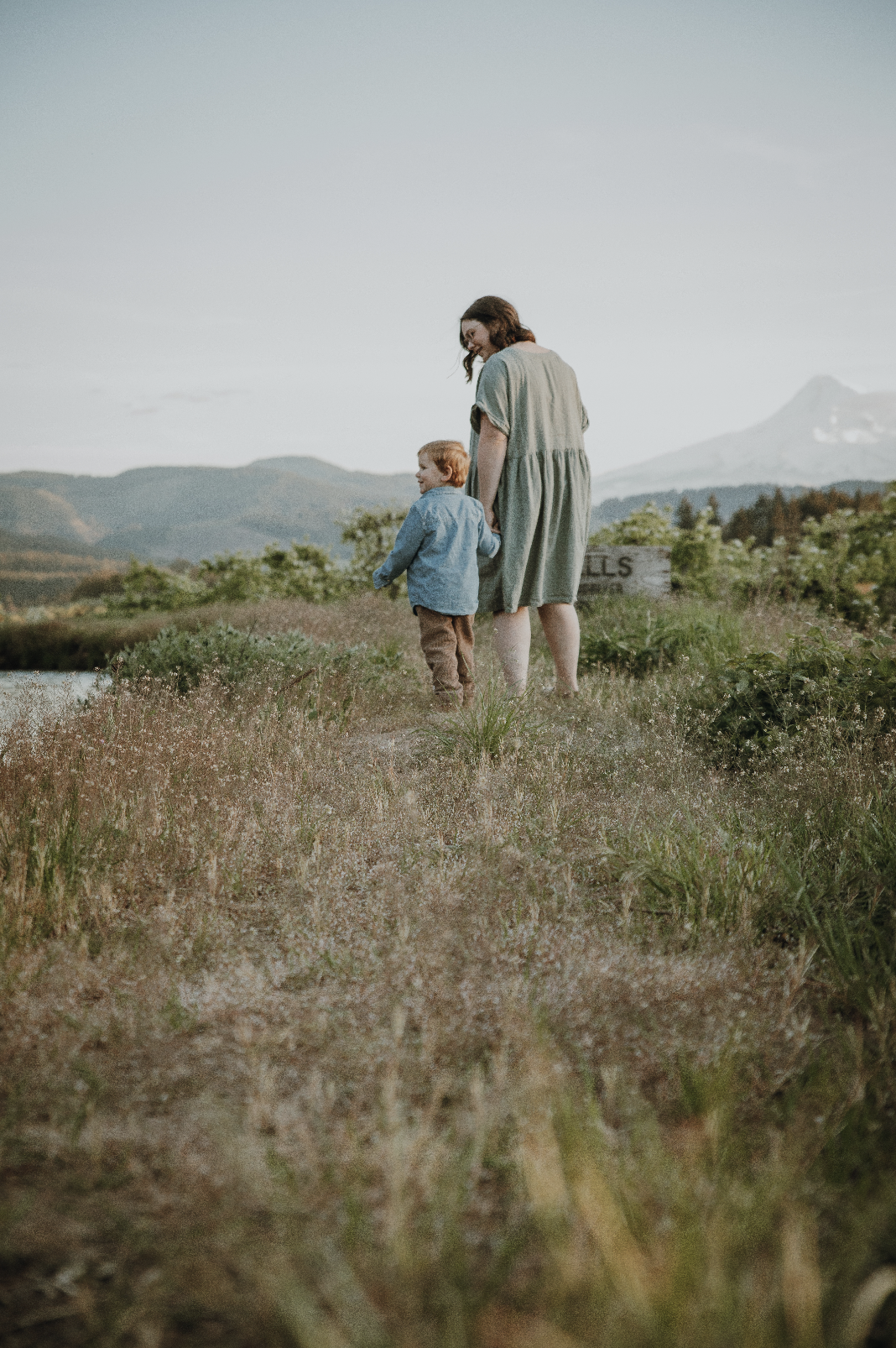 Screen Shot 2024-06-14 at 12.21.18 PM.png