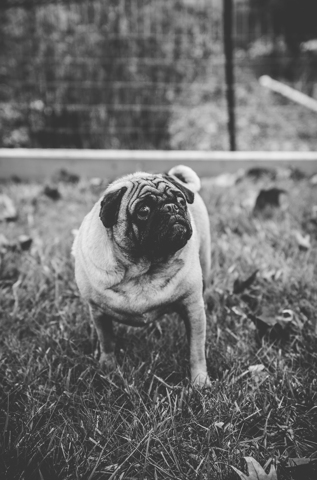 Screen Shot 2024-06-21 at 12.36.11 AM.png