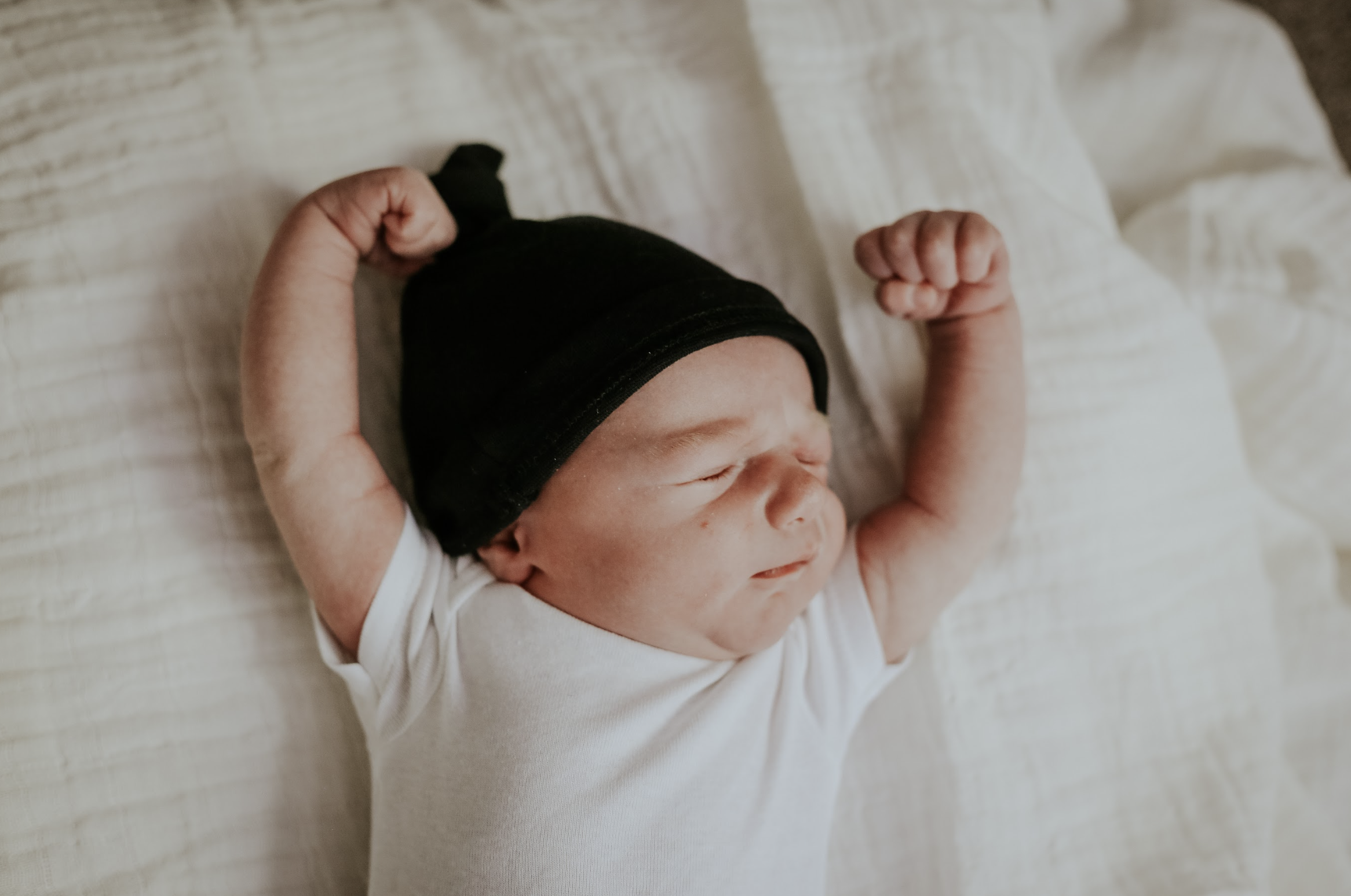 Screen Shot 2024-06-21 at 12.44.41 AM.png