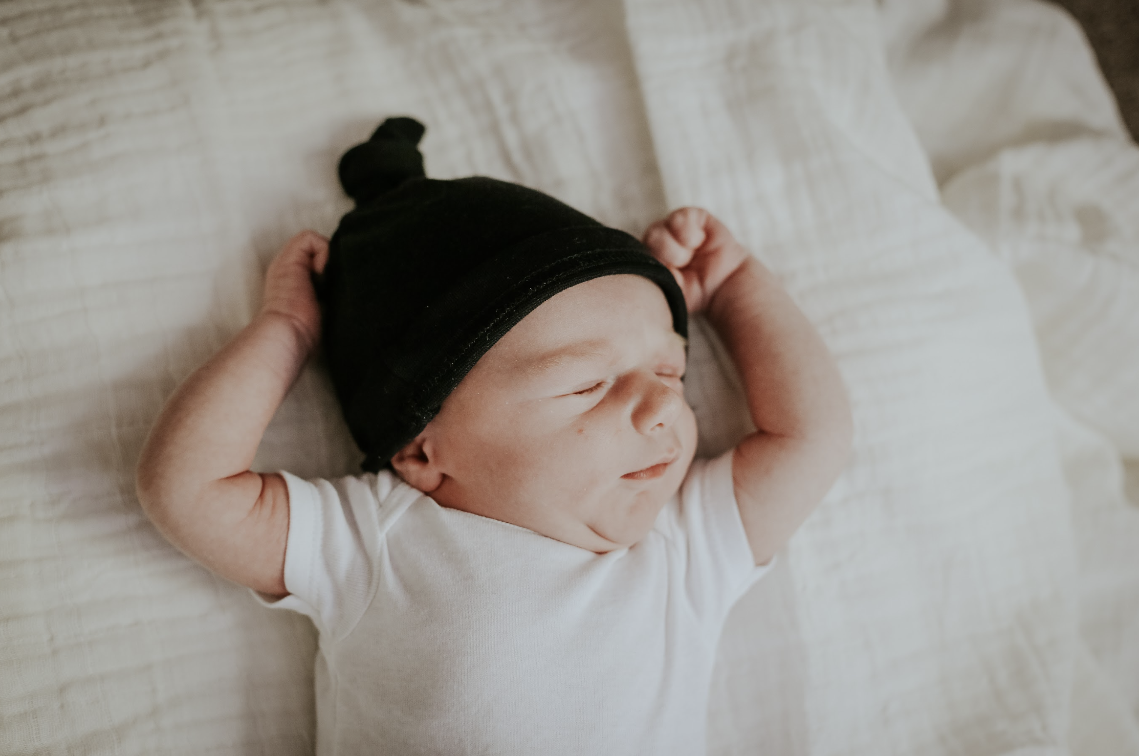 Screen Shot 2024-06-21 at 12.44.27 AM.png