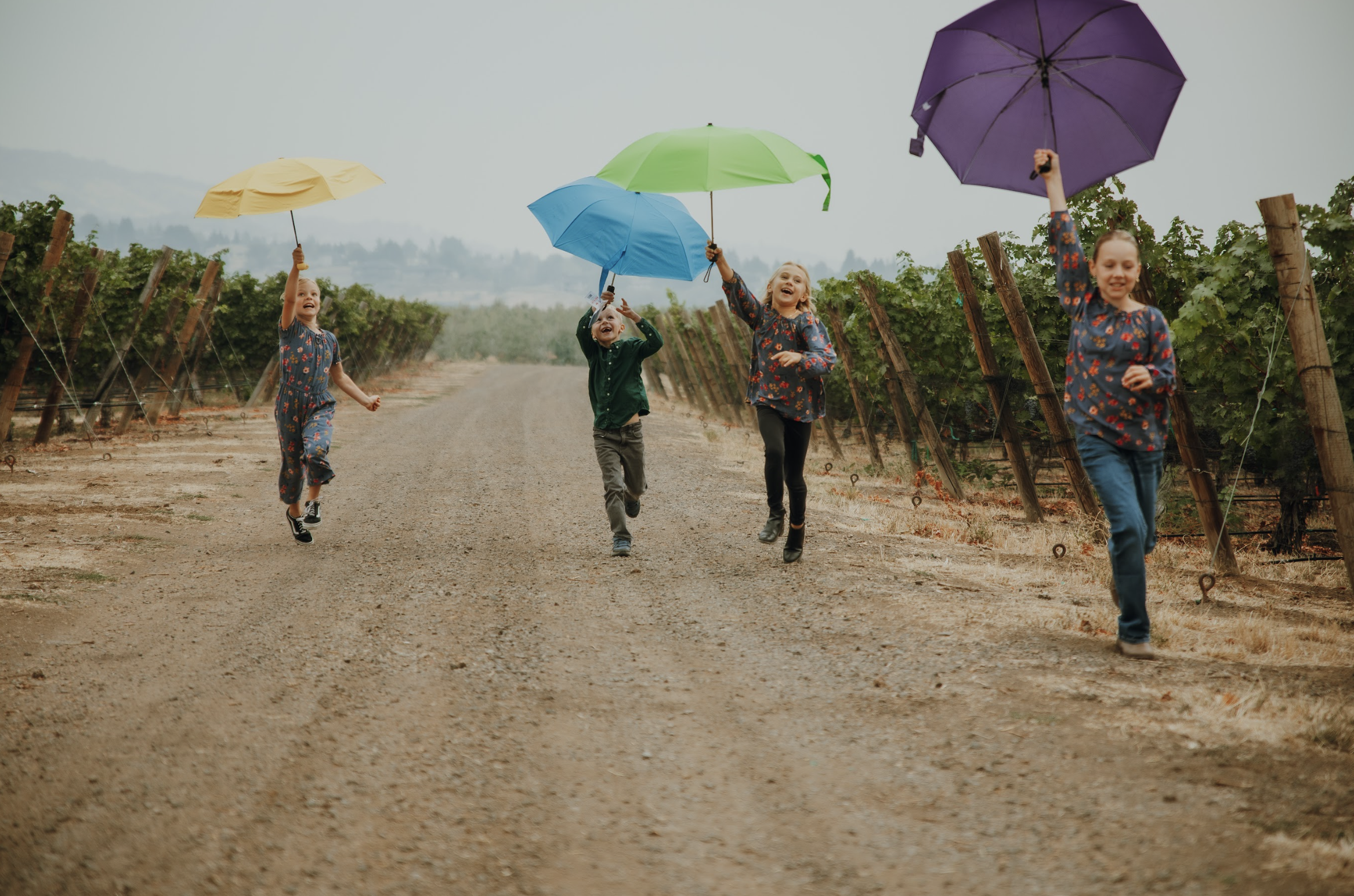 Screen Shot 2024-06-21 at 1.39.05 AM.png