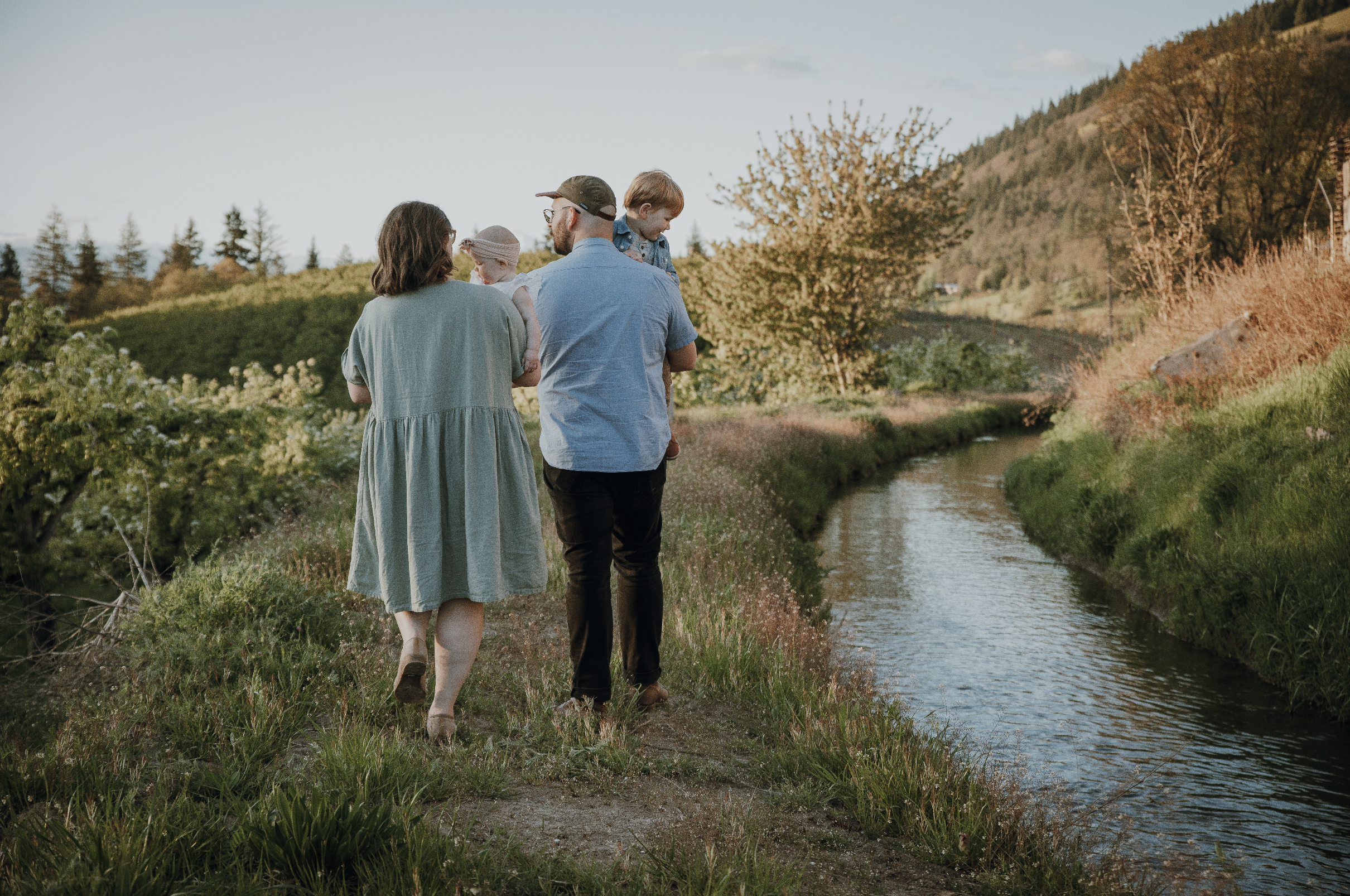 Screen Shot 2024-06-14 at 12.20.45 PM.png