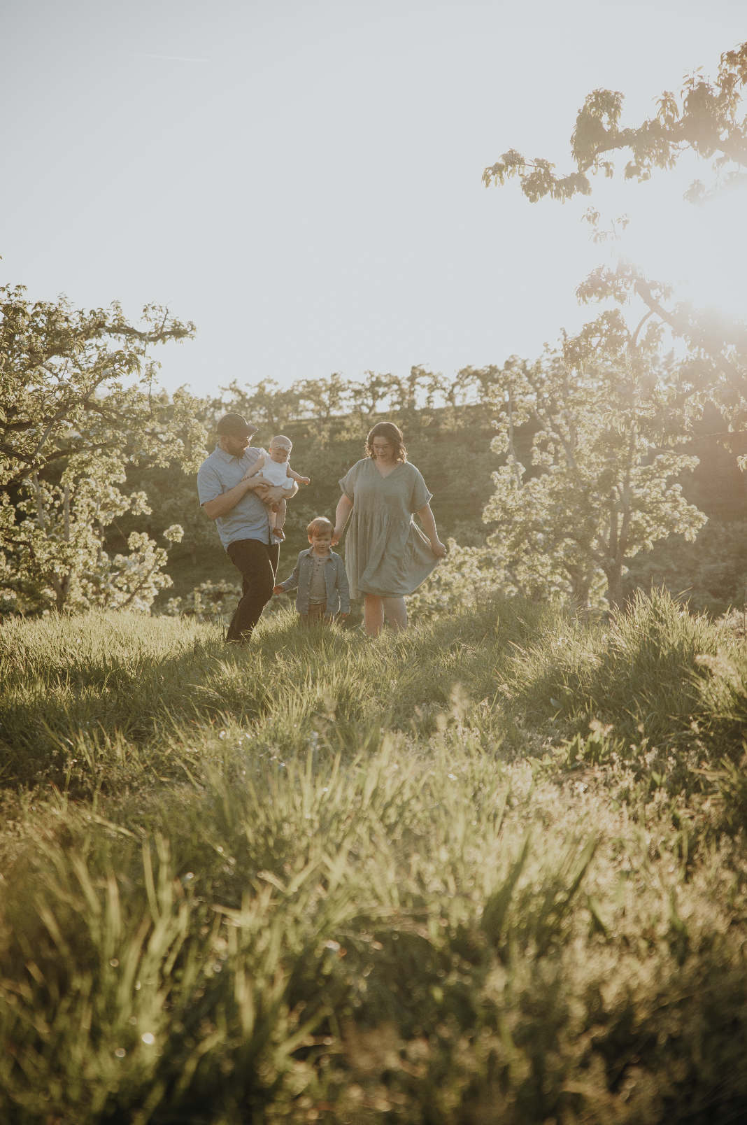 Screen Shot 2024-06-14 at 12.15.51 PM.png